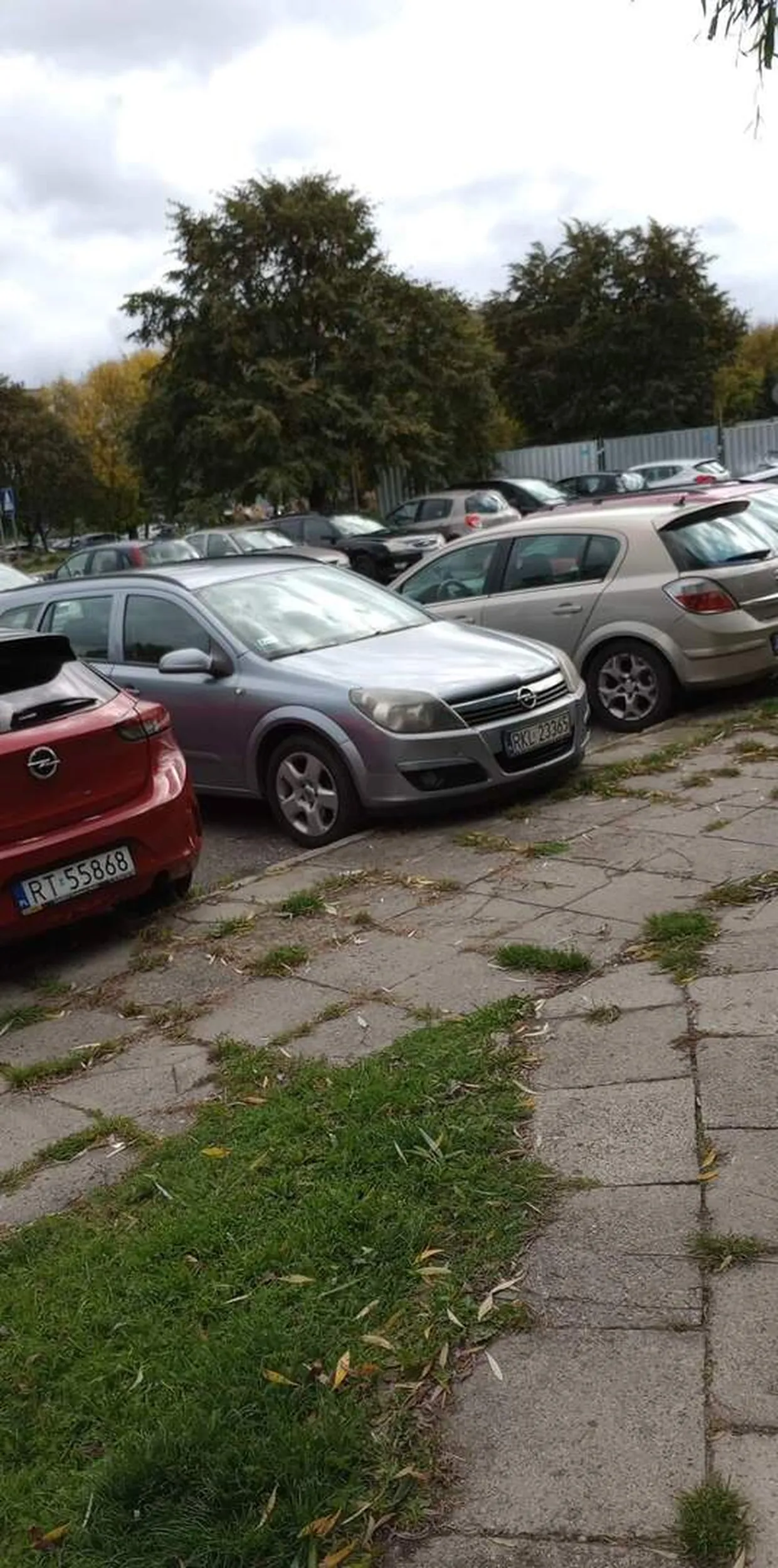 Men zająłeś mi miejsce na moją asterke