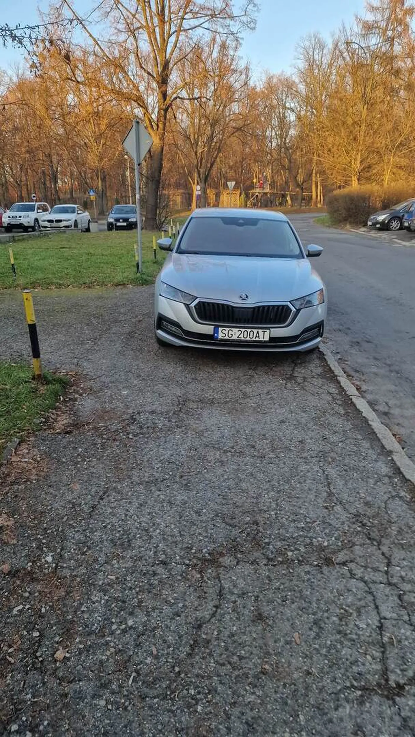 Szkoda, że rozumu brakuje