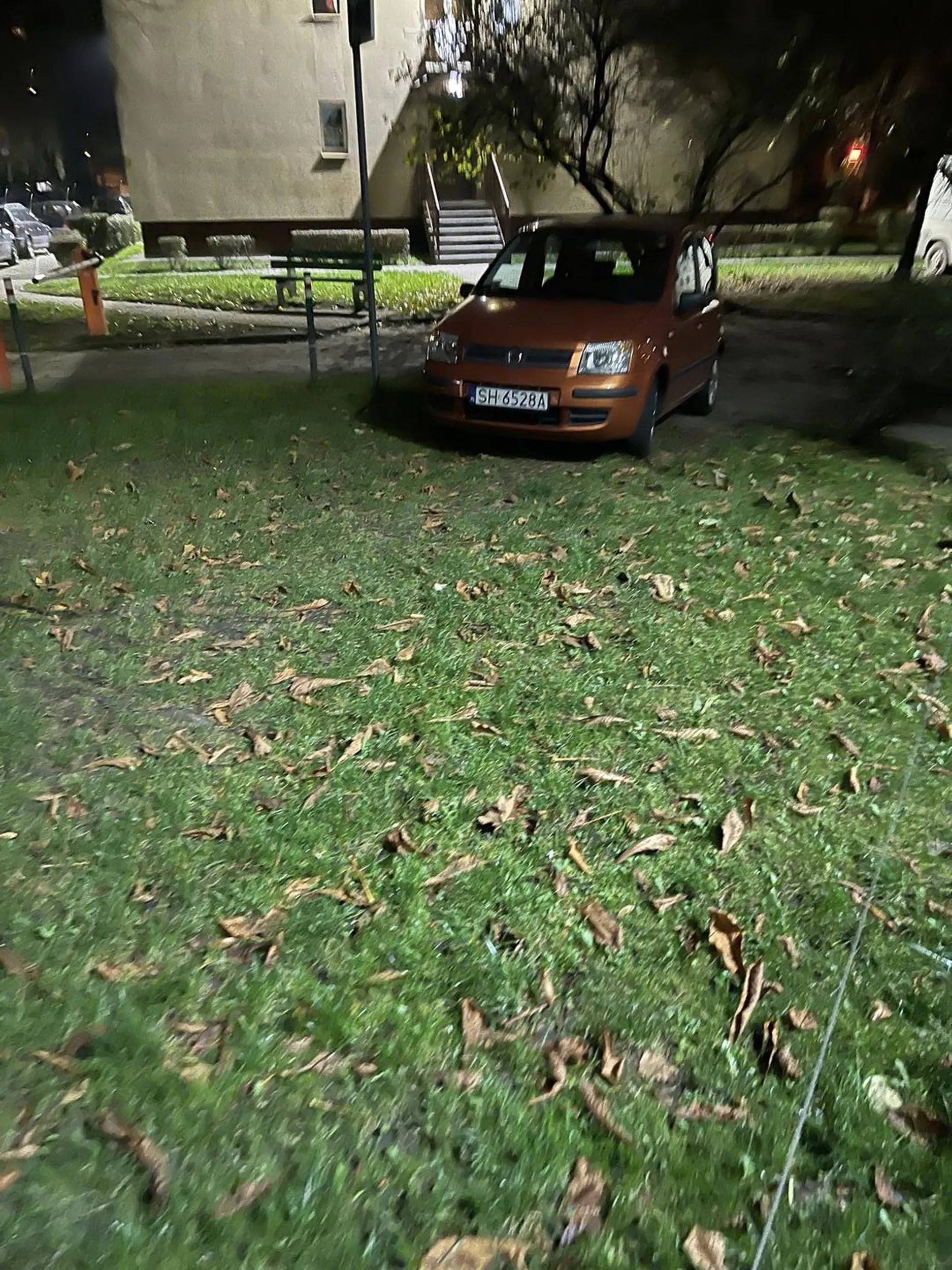 kutas za każdym razem parkuje na trawniku chociaż dookoła 4 wolne miejsca parkingowe