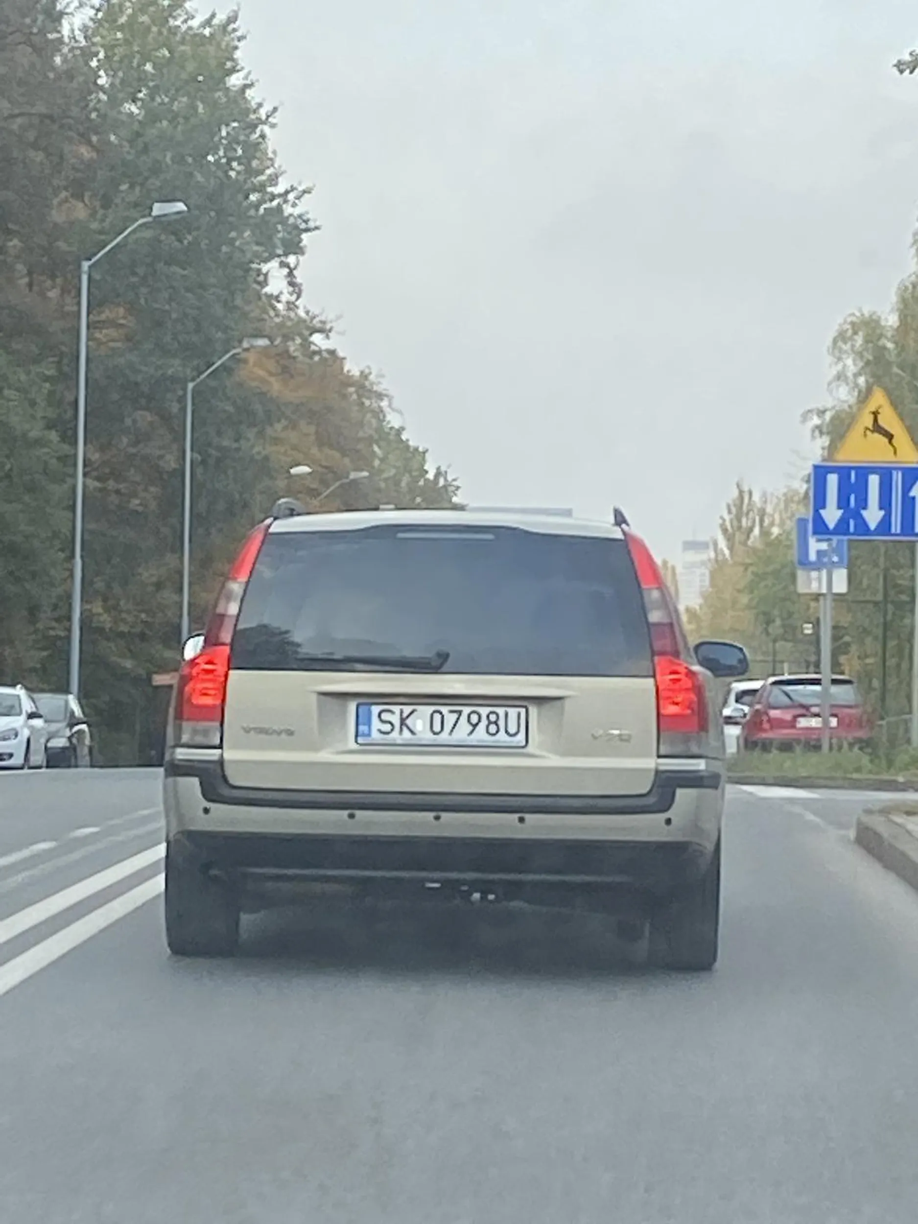 Stary dziad do odebrania prawo jazdy. Jedzie całą trasę jak zawalidroga!!!!!!! 30km/h max, brak pasa do wyprzedzenia - blokuje pół miasta