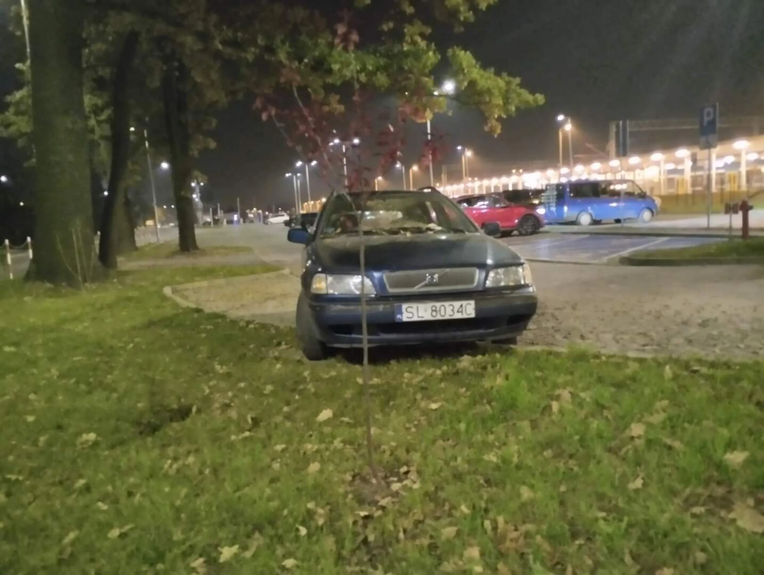 Nie potrafi parkować, niszczy zieleń