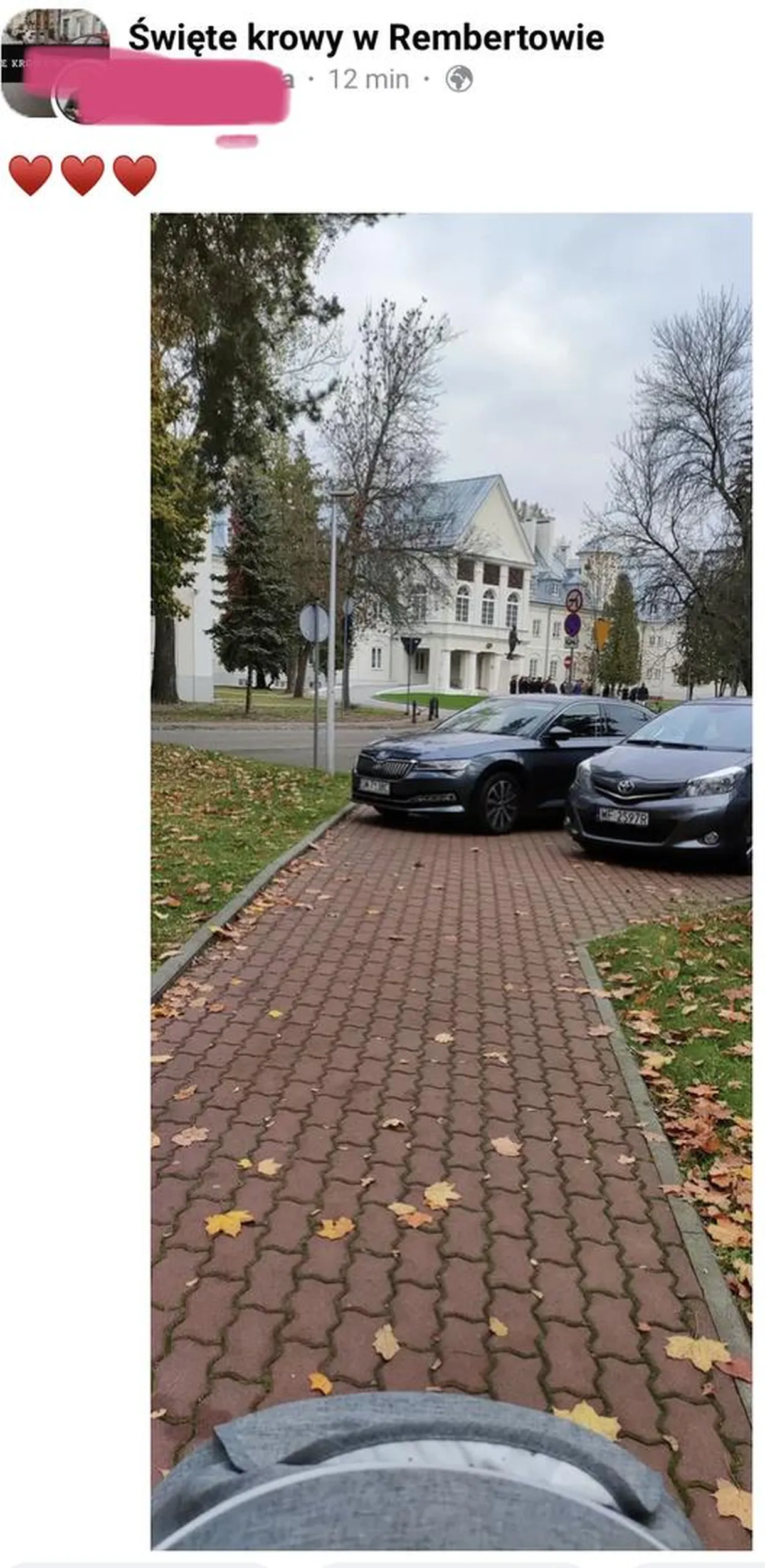 Baran parkuje na chodnikach