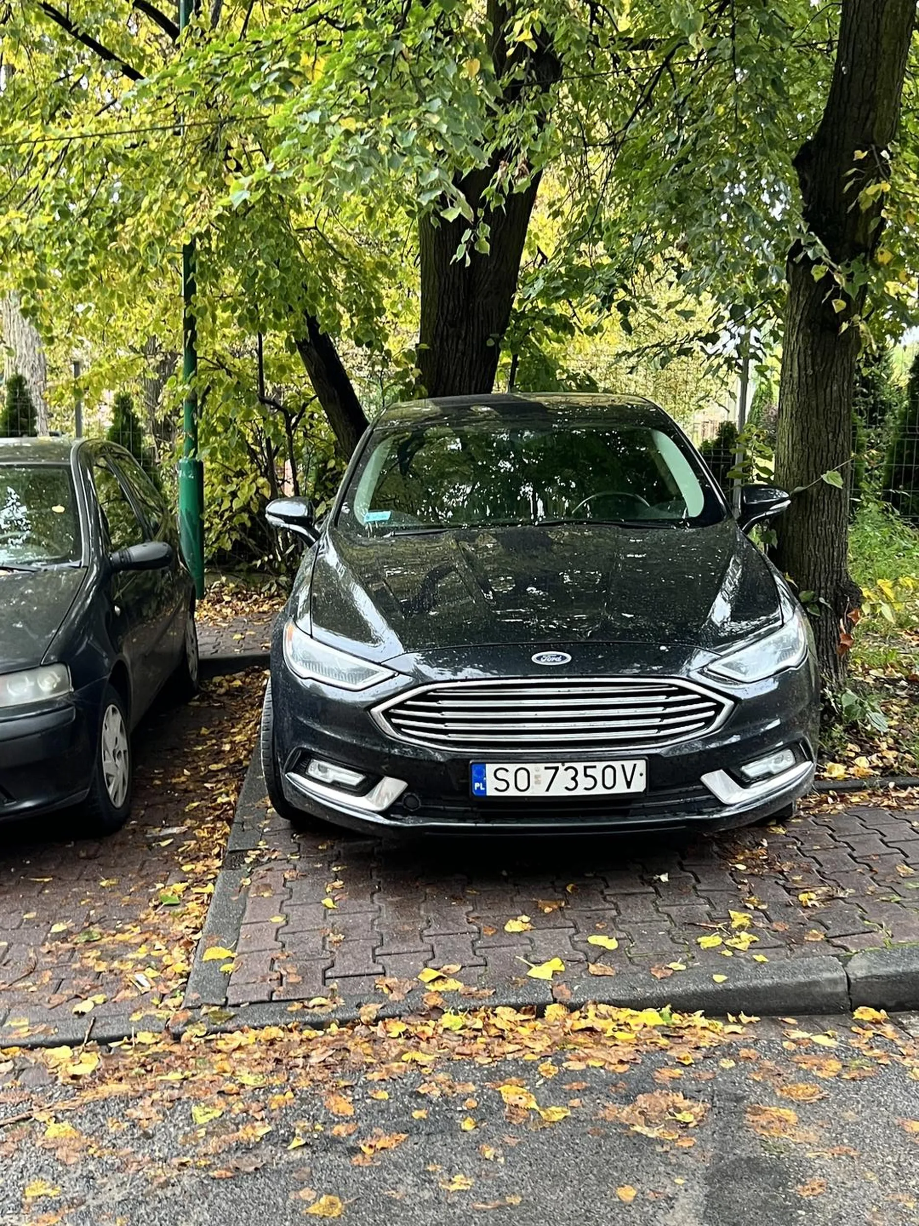 Staje na chodniku pod szpitalem, całkowicie uniemożliwiając przejście wózkiem po chodniku. Miejsca parkingowe są dalej, ale pewnie przejść już minutę pieszo jest zbyt trudno. Zwykle bucostwo!!