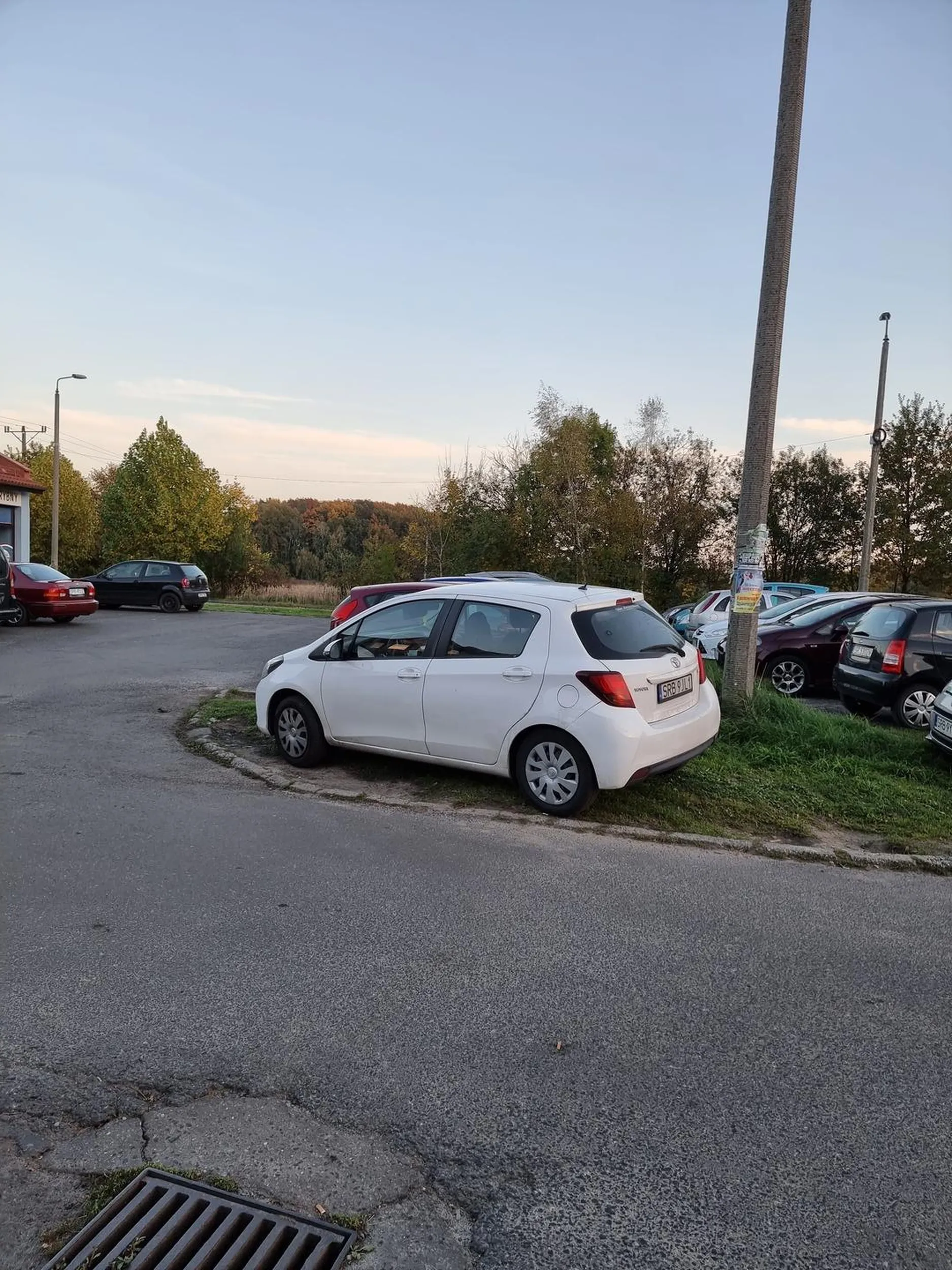 Gratuluję parkowania na trawie, mam nadzieję że odpowiednie służby odpowiednio Pana/Panią nagrodzą :)