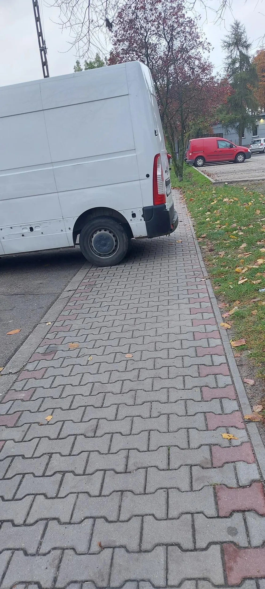 Genialne parkowanie. Notorycznie.