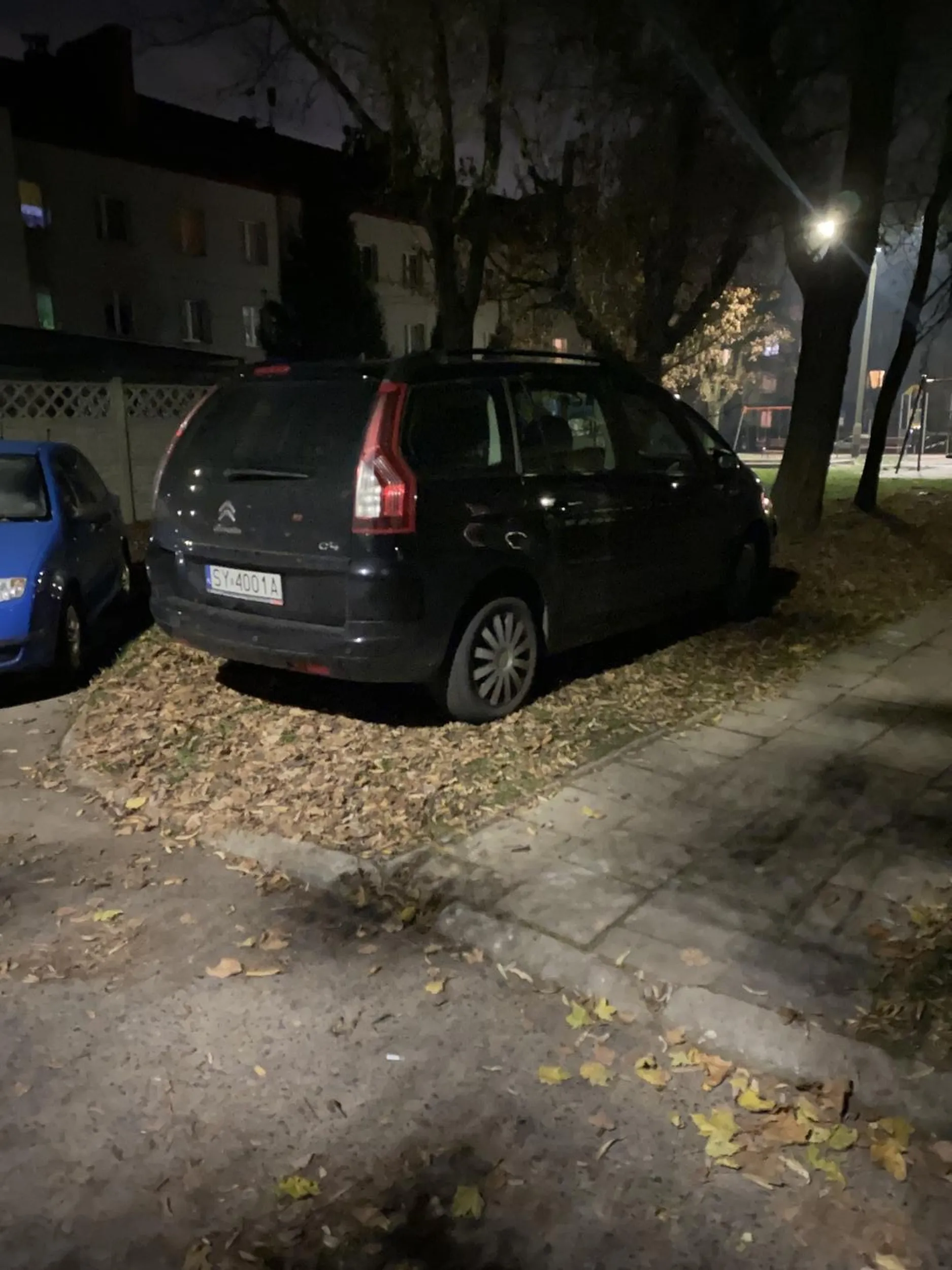 Trawnik nie jest do parkowania…