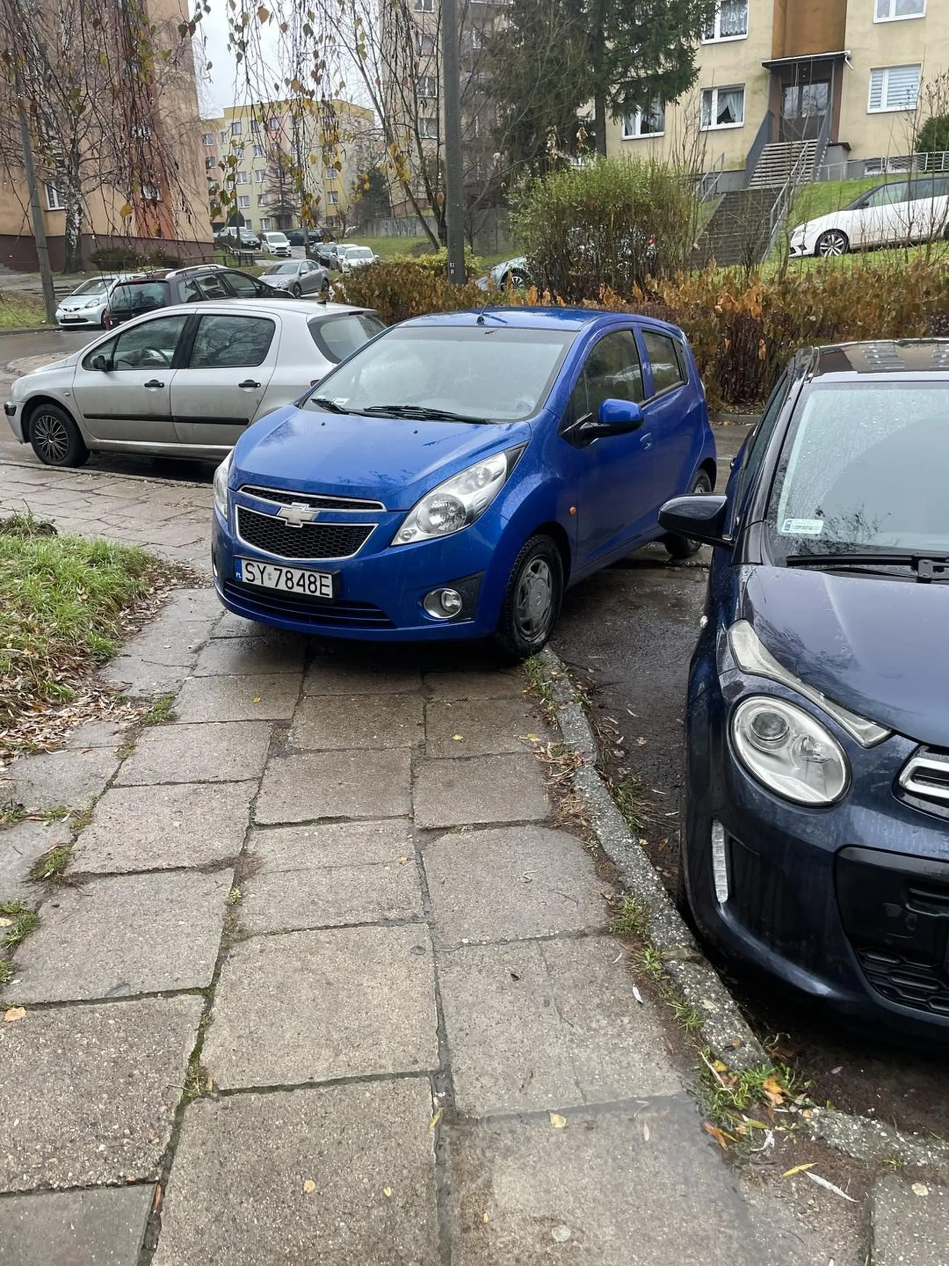 Profesjonalne parkowanie na chodniku :???