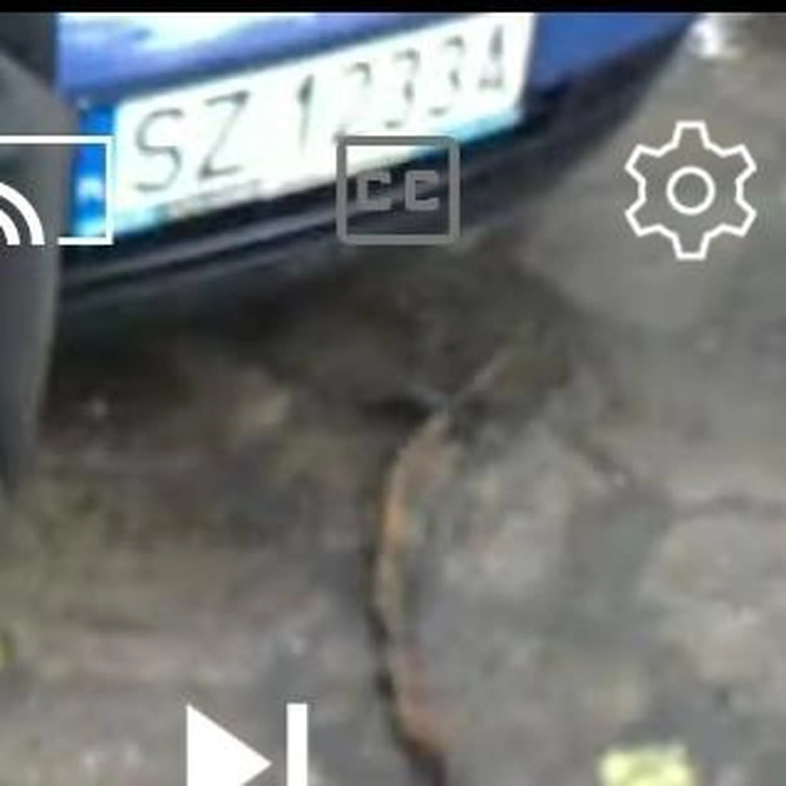 prawdziwy luj z zabrza ktory poluje na czupakabry