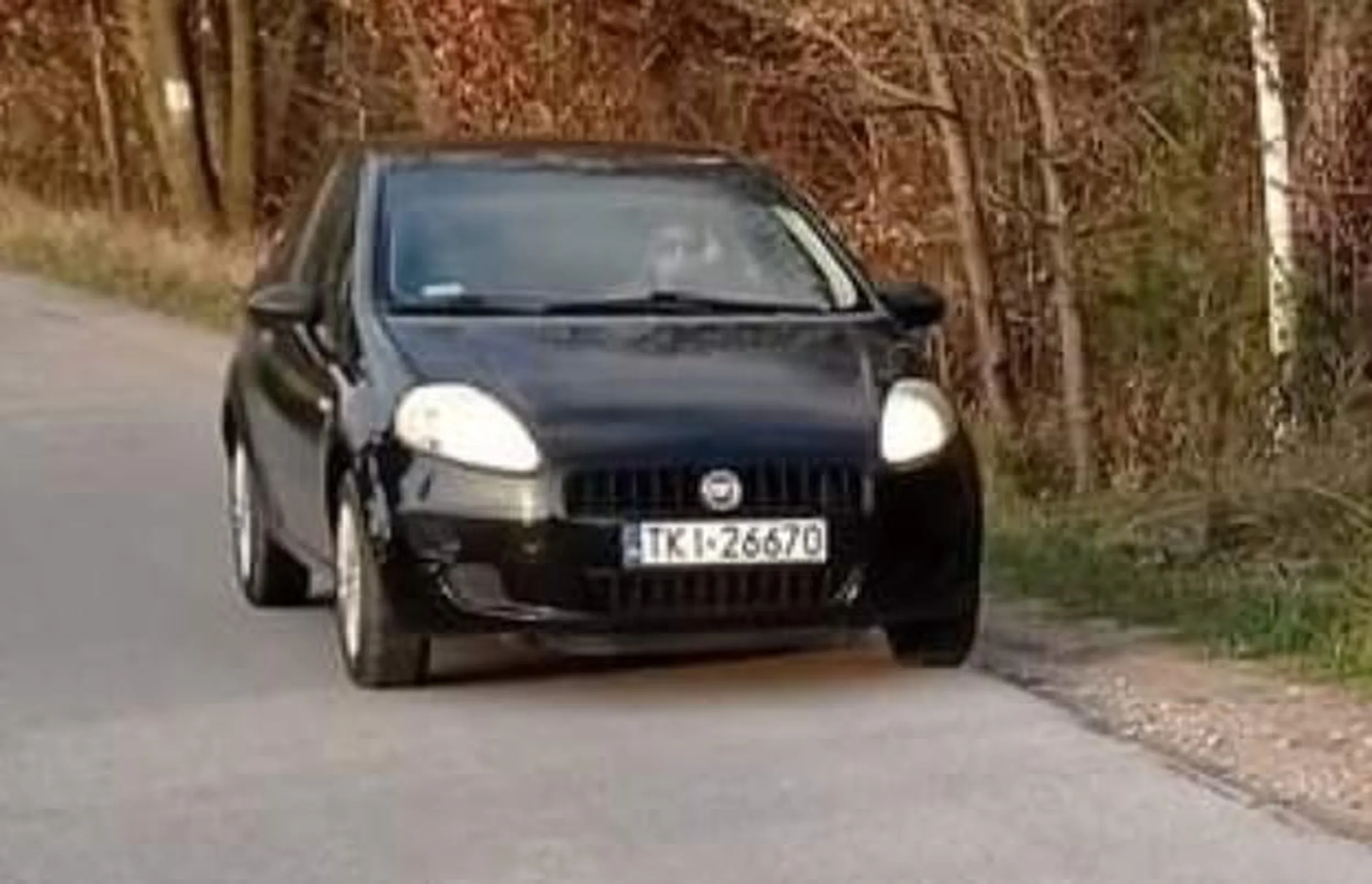 Kobieta wyrzuciła z auta kota do lasu