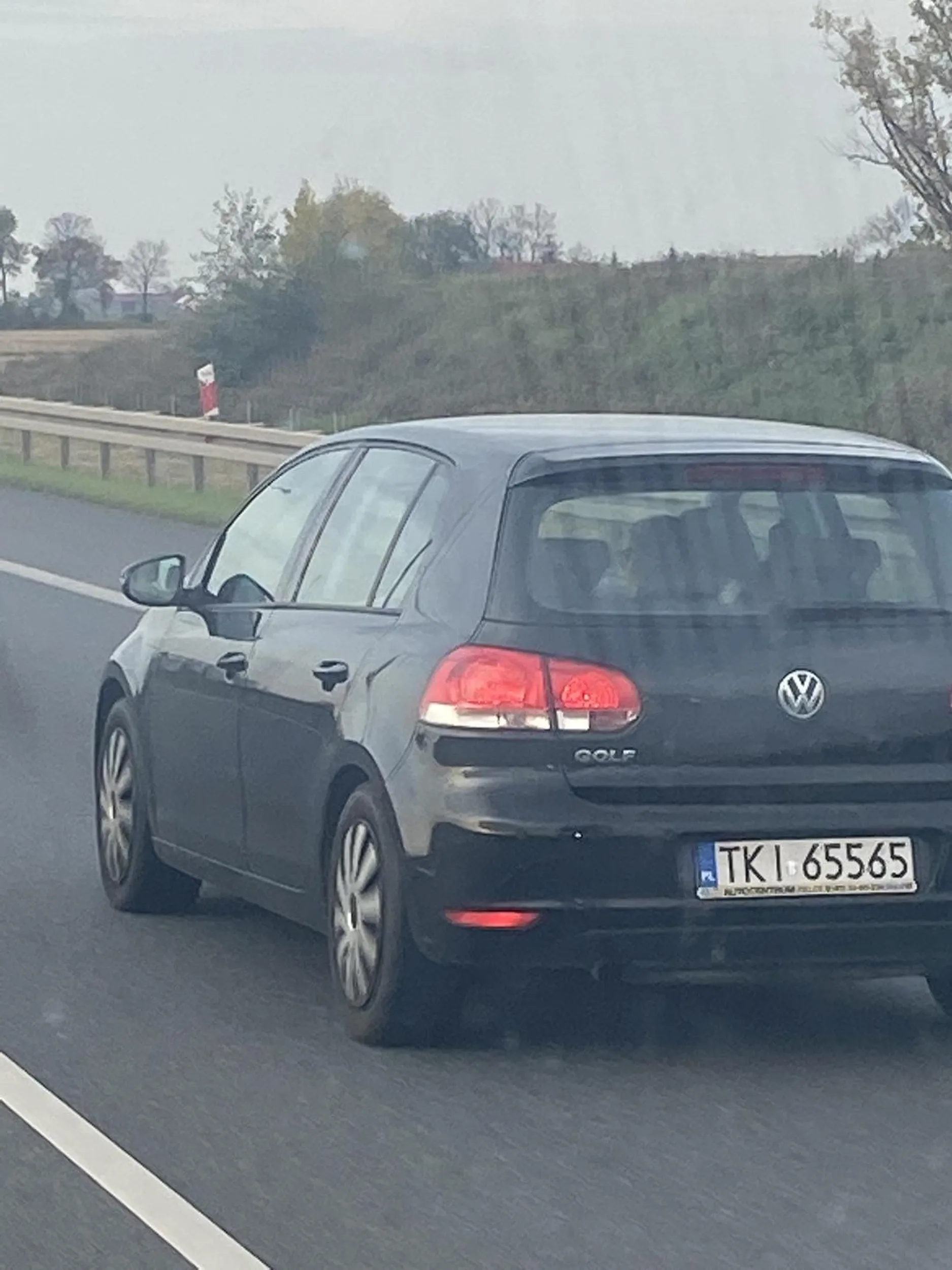 Pierdolnął psa i spierdolił, polecam