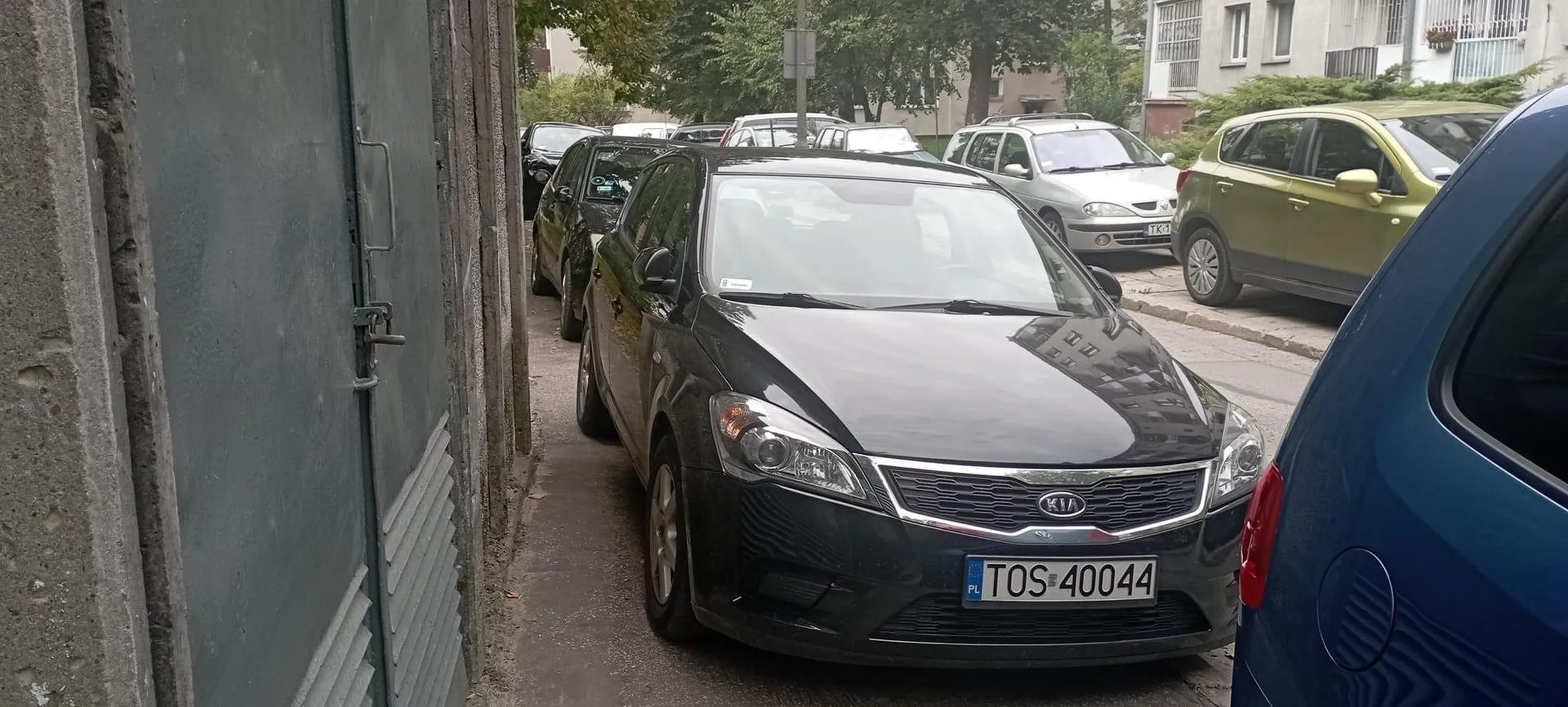 Kierowca definitywnie nie potrafi parkować.