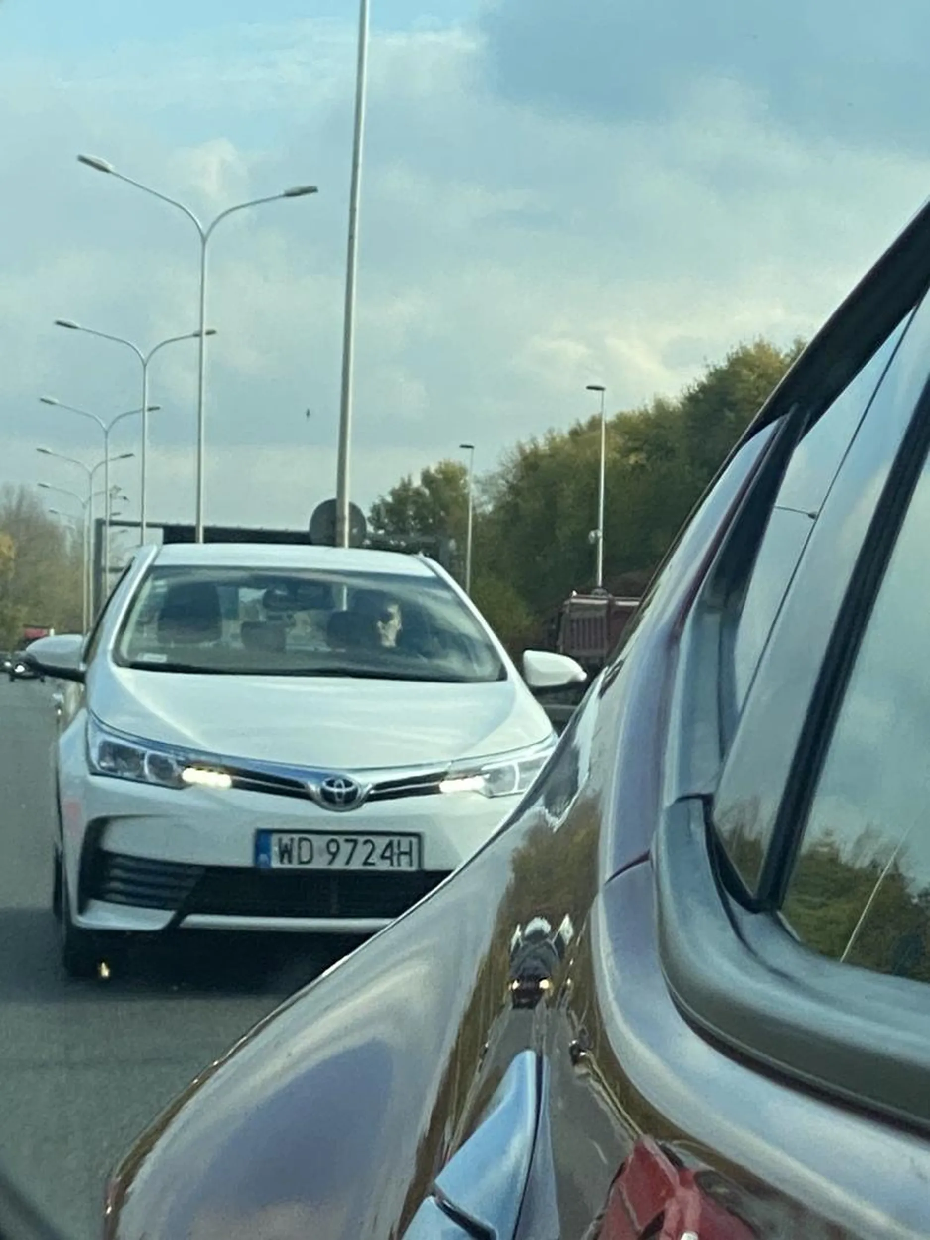 Najpierw wyjeżdża na lewy bez kierunku i niebezpiecznie zajeżdża drogę. Gdy się tego szeryfa pozdrowiło środkowym palcem, i wyprzedziło by uniknąć kolizji, zaczal najeżdżać na tył i nagrywać swoimi kamerkami.  Pogódź się że masz małego siuraka, zachowuj się jak mężczyzna i naucz się jeździć.