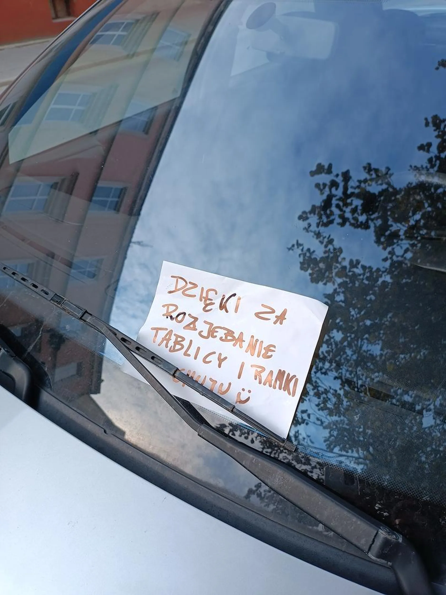 Parkuje jak baran nie patrząc w lusterka :) Rozwalił mi tablicę rejestracyjną, zderzak i nie chciał nawet przeprosić. Polecam reedukację. Kłóciłbym się, gdybym nie spieszył się z wyjazdem.