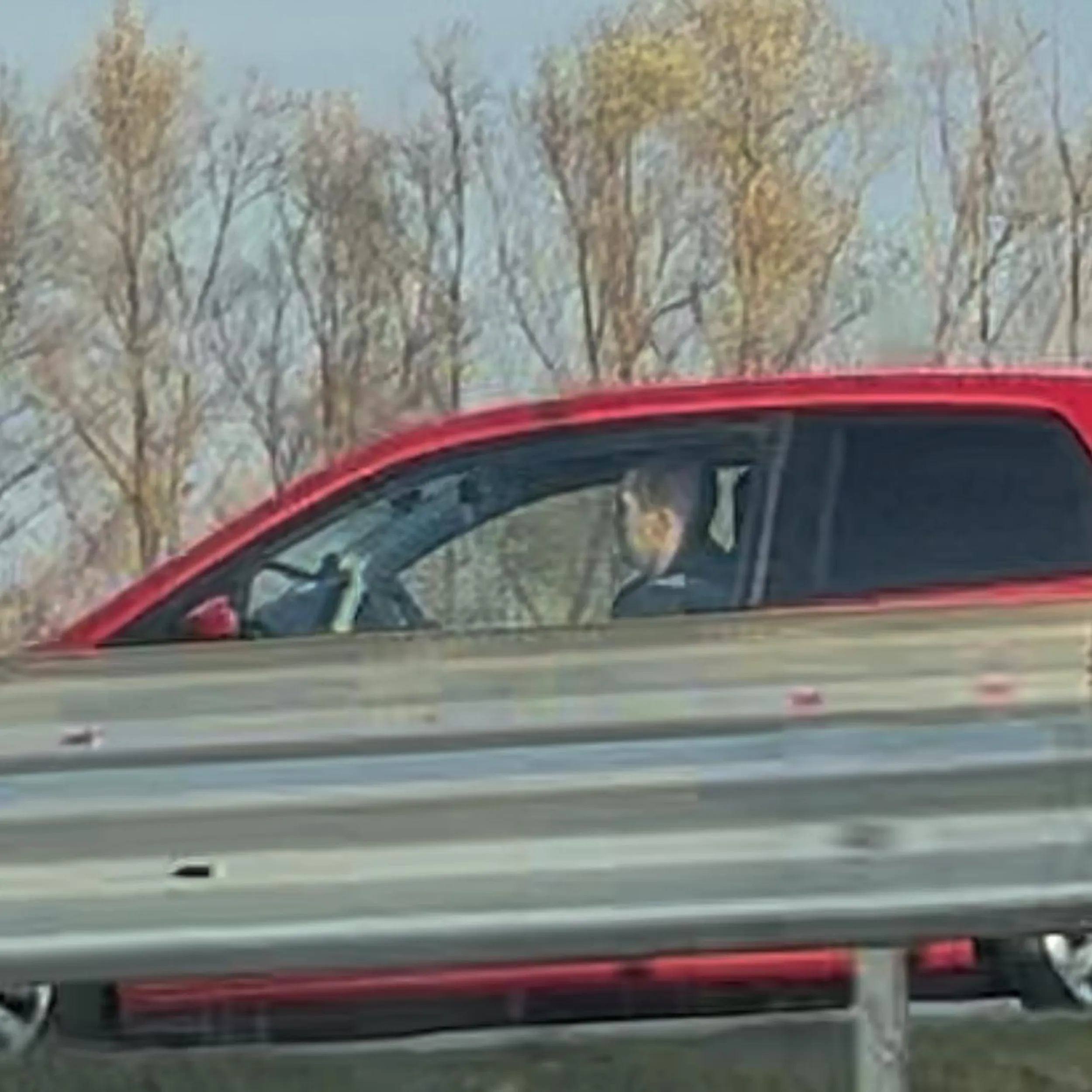 Przed chwilą miałam bardzo nieprzyjemną sytuację na trasie S2; zaraz przed wjazdem do tunelu usiadła mi z tyłu na zderzaku czerwona SKODA CITYGO, a w środku prowadziła ją jakaś ameba drogowa. Człowiek nie zna chyba podstawowych zasad kodeksu ruchu drogowego bo jechał dosłownie kilka centymetrów na zderzaku, a w momencie kiedy musiałem lekko zwolnić aby wpuścić samochód przede mnie zaczęły się jakieś dantejskie sceny; zaczął się ścigać, zajeżdżał drogę, hamował ruch na autostradzie prawie do zera, jeździł zygzakiem jakby był naćpany lub pijany, jak próbowałem go zatrzymać zatrzymać to uciek w prawo na Wilanów. Oby ta winda spadła Ci na głowę!