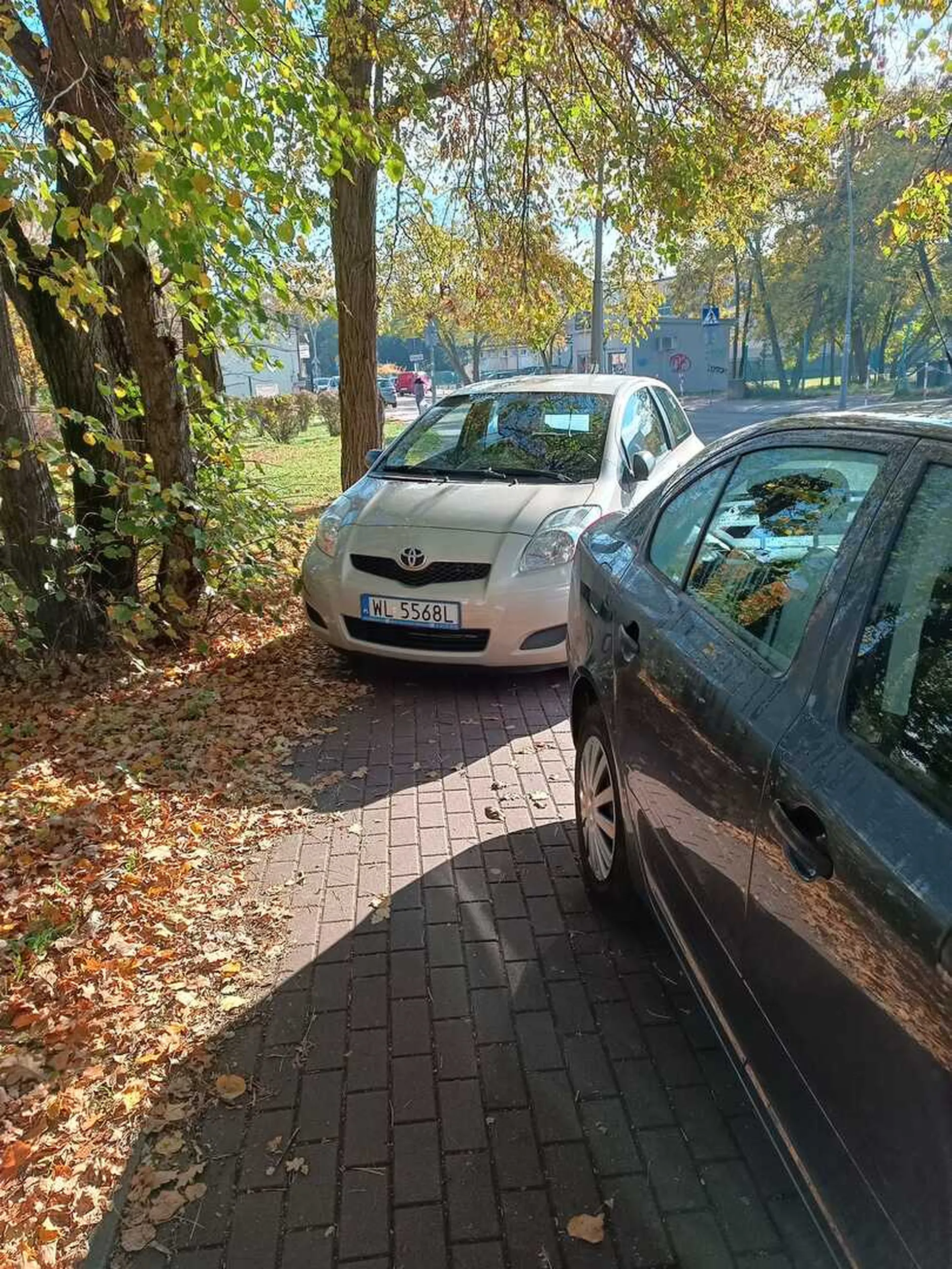 Kierowco mam nadzieje że ktoś Ci w najbliższym czasie zabierze prawo jazdy skoro posiadasz takie umiejętności posługiwania się autem.