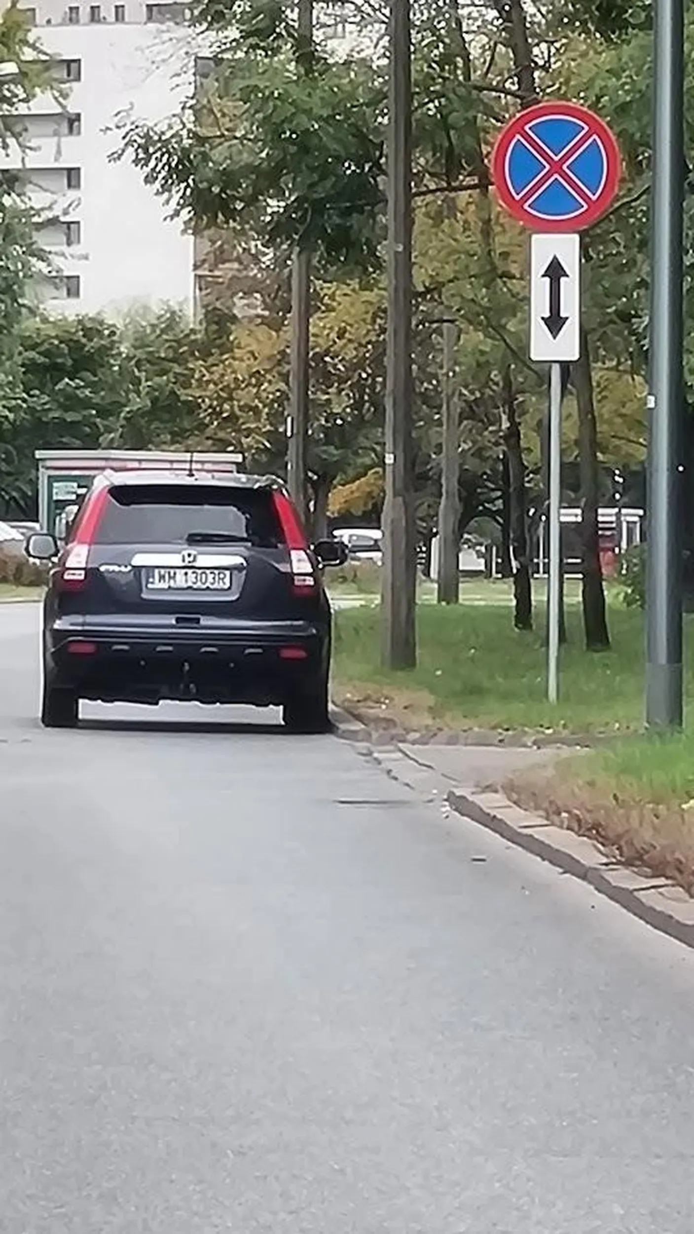 bąbelkarz z pieluszkowym zapaleniem głowy (bo to obok szkoły) albo typowa mamusia w SUVie- nawet bez "klik i parkujesz gdzie chcesz" awaryjnych, więc podwójna wtopa.