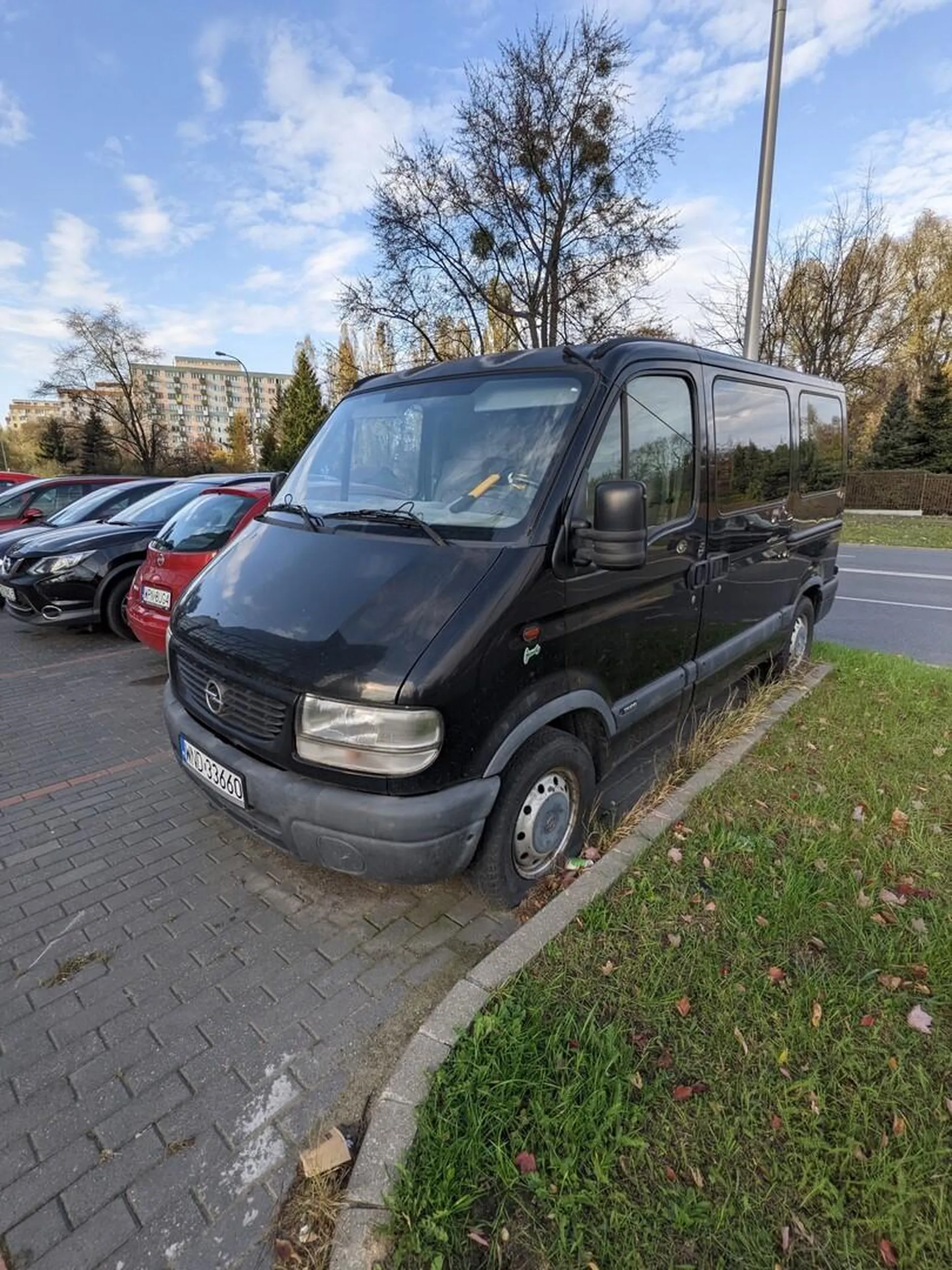 Stoi taki trup i tylko wrasta - przez długie miesiące, ograniczając widoczność wyjeżdżającym z posesji.