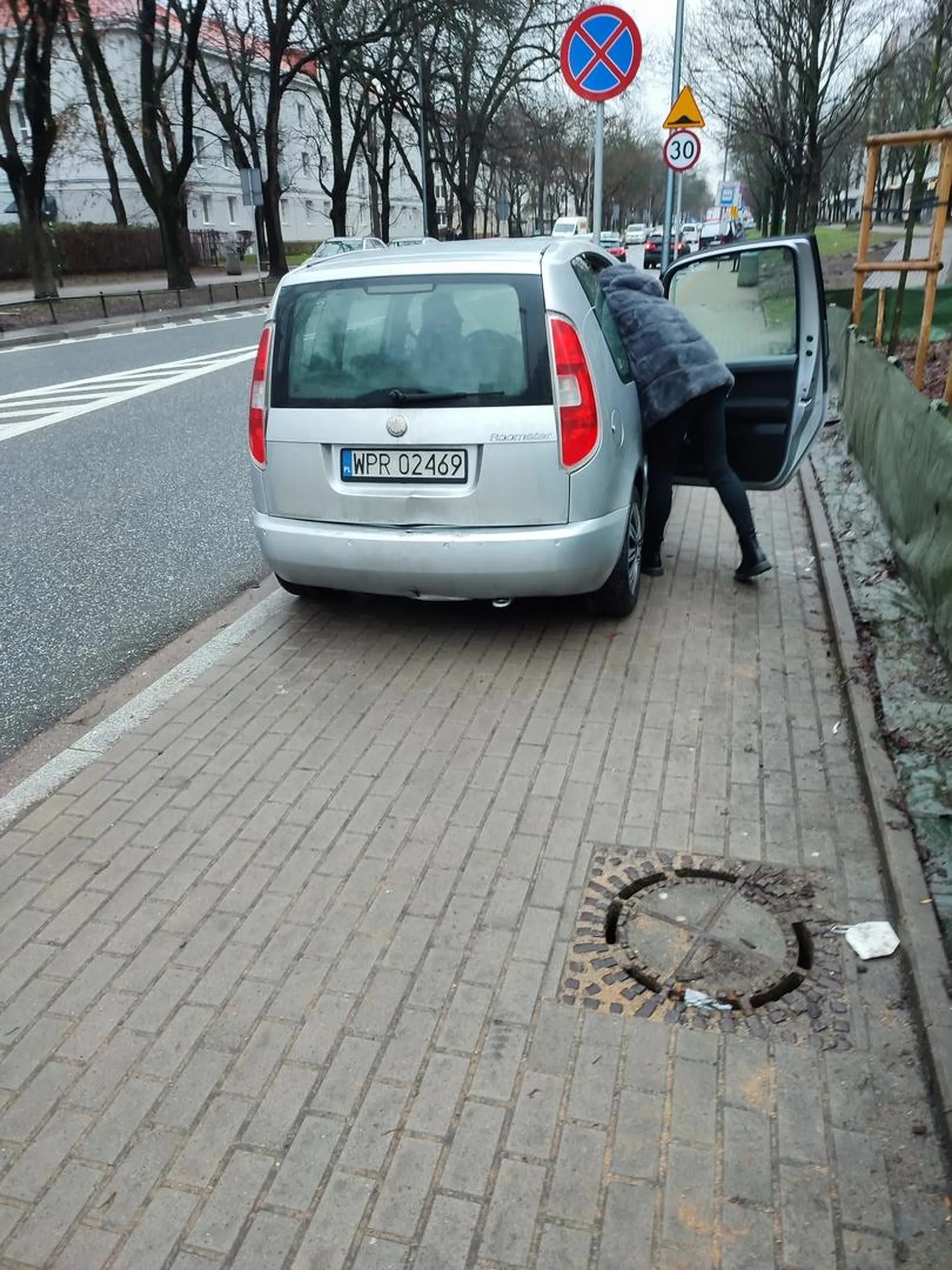 Cham z kogutem na bluzie