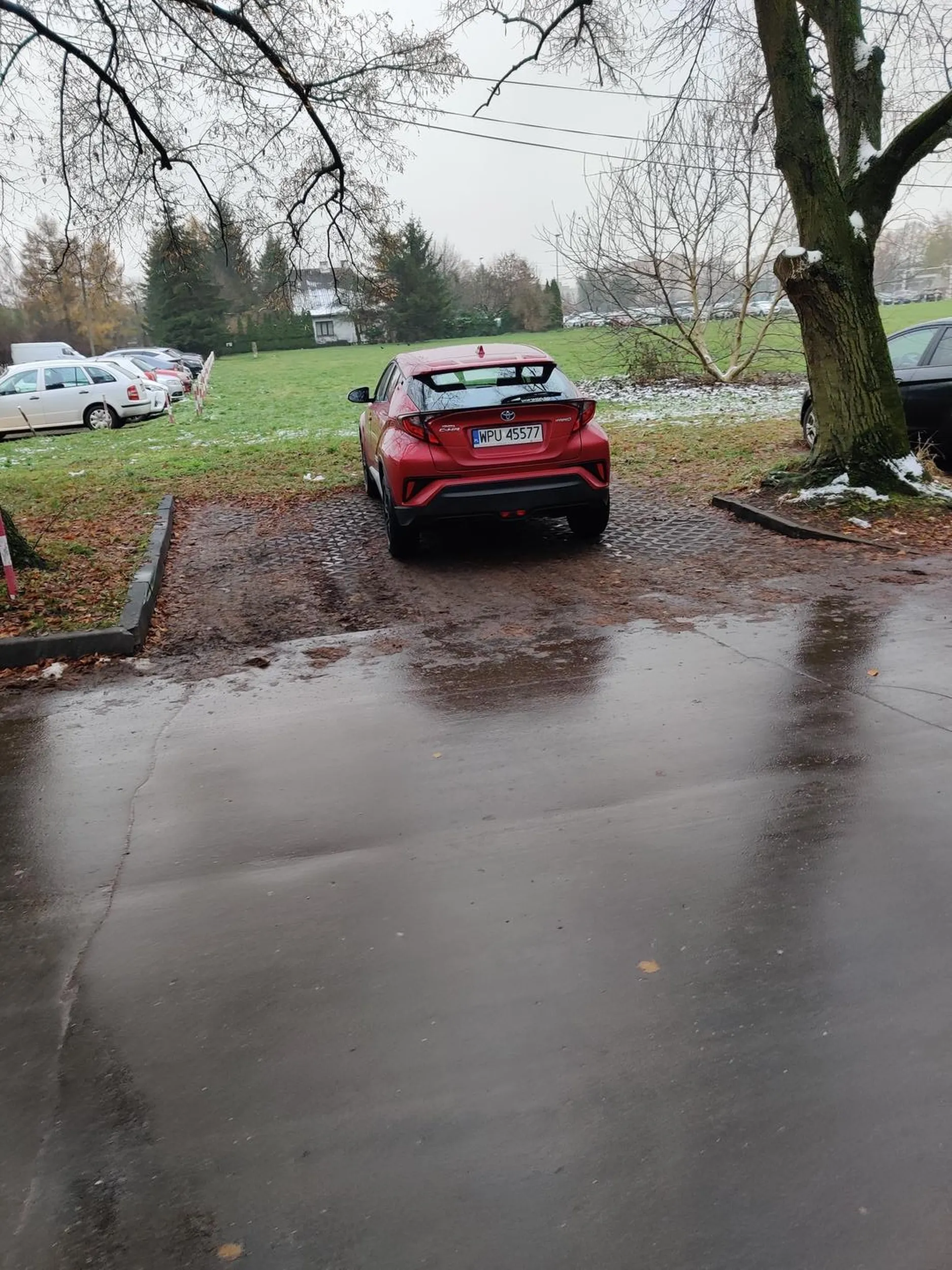 Parking SGGW, na którym zawsze brakuje miejsc do parkowania. Jednakże, jaśniepan książę z Pułtuska wymaga przestrzeni po obu flankach swojej karoty.