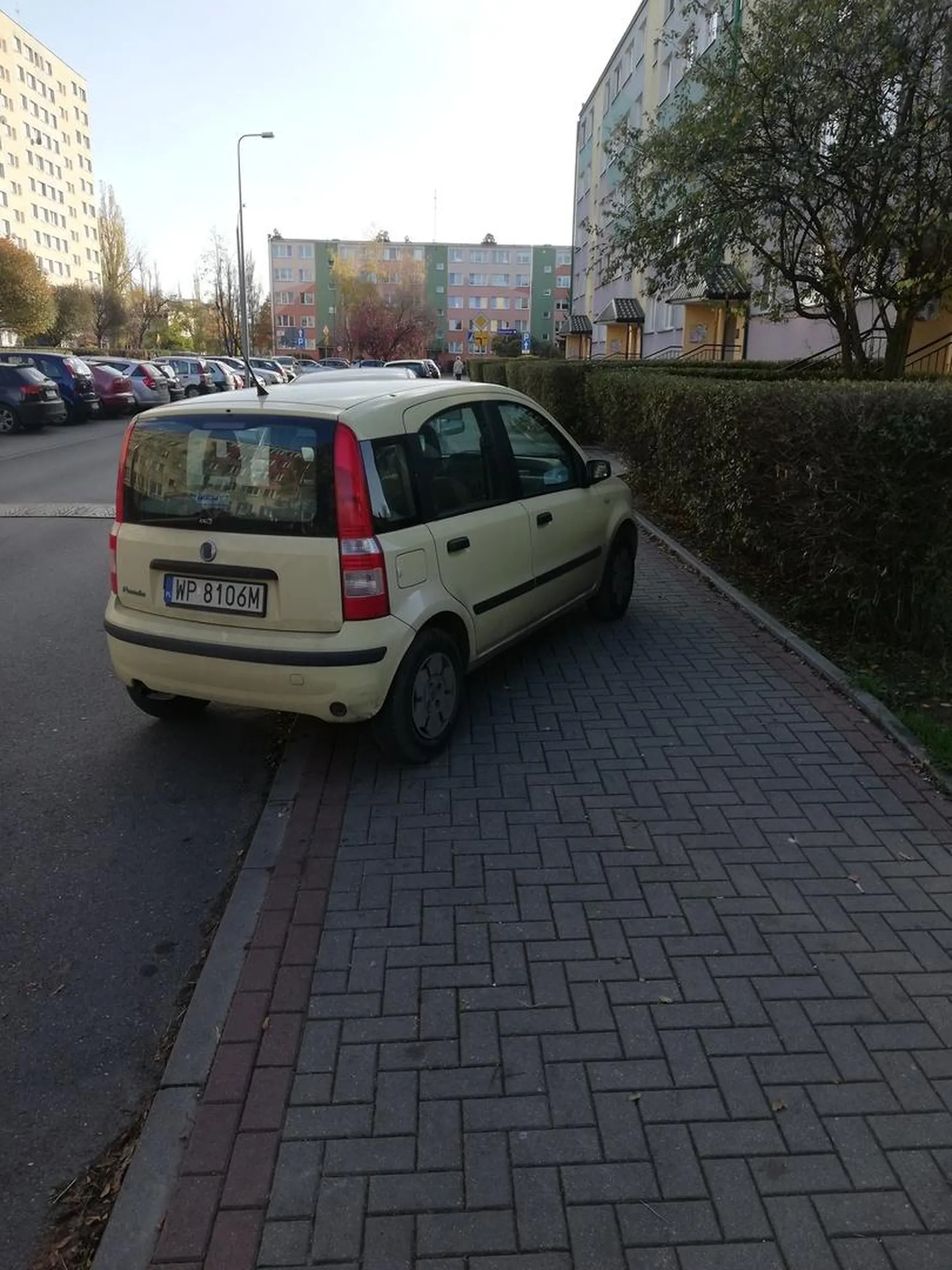 Jaśnie pani nie wie że parkuje się auto na parkingu a nie na chodniku , no cóż trzeba jeszcze się dokształcać .