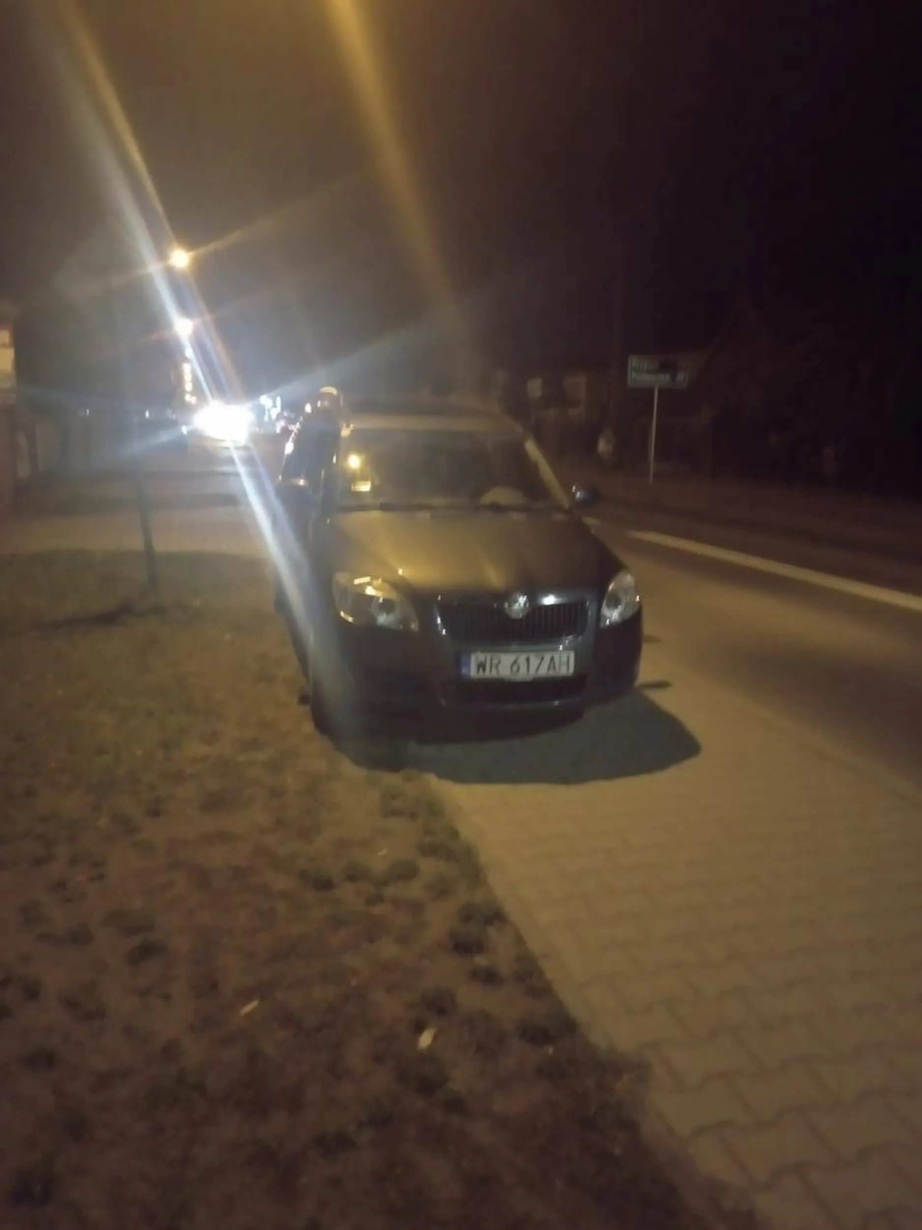 Czy to psy tak na górniku parkuja