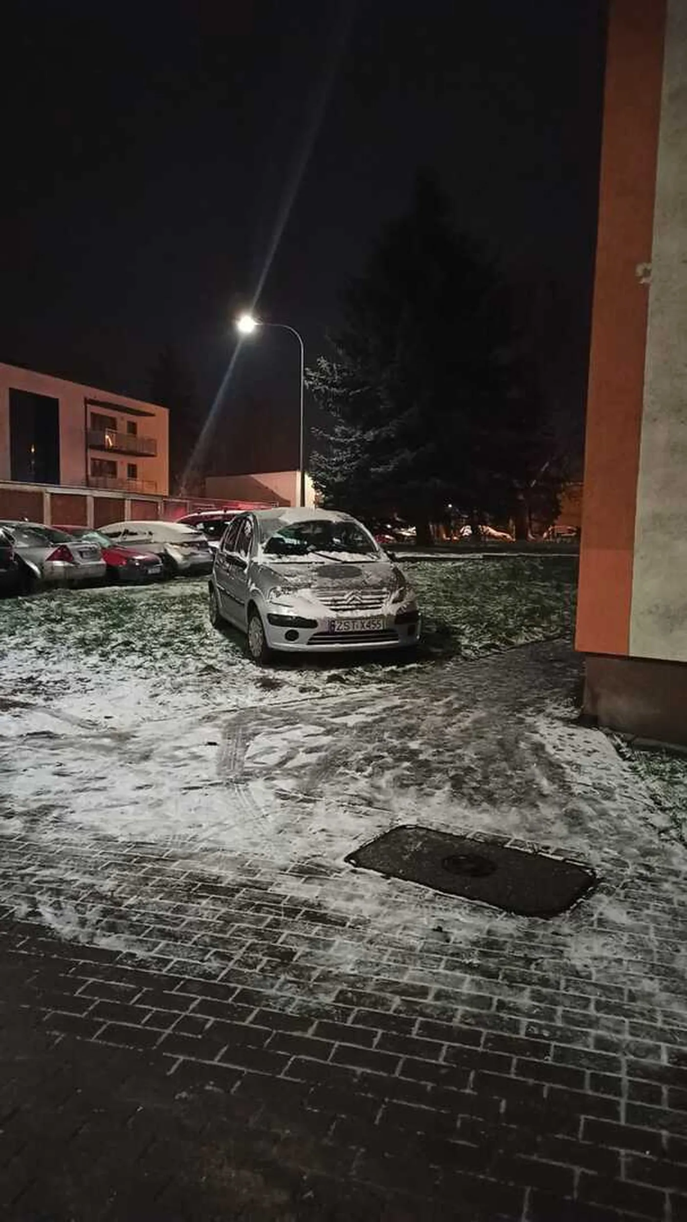 Miszcz po prostu miszcz, co tam zajęte miejsca parkingowe skoro trawnik cały wolny