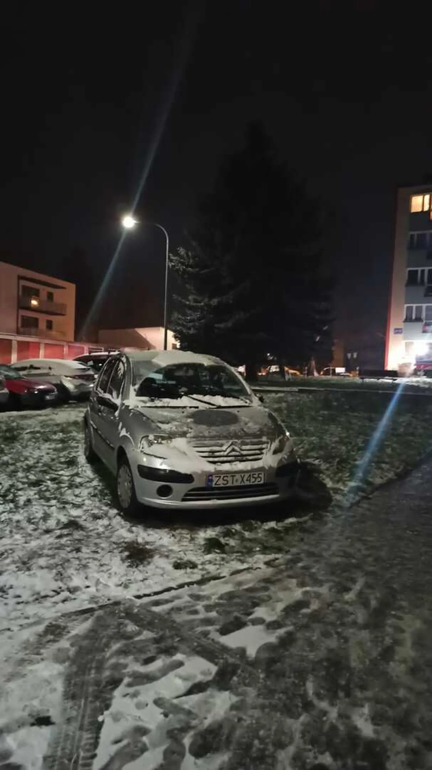 Miszcz po prostu miszcz, co tam zajęte miejsca parkingowe skoro trawnik cały wolny
