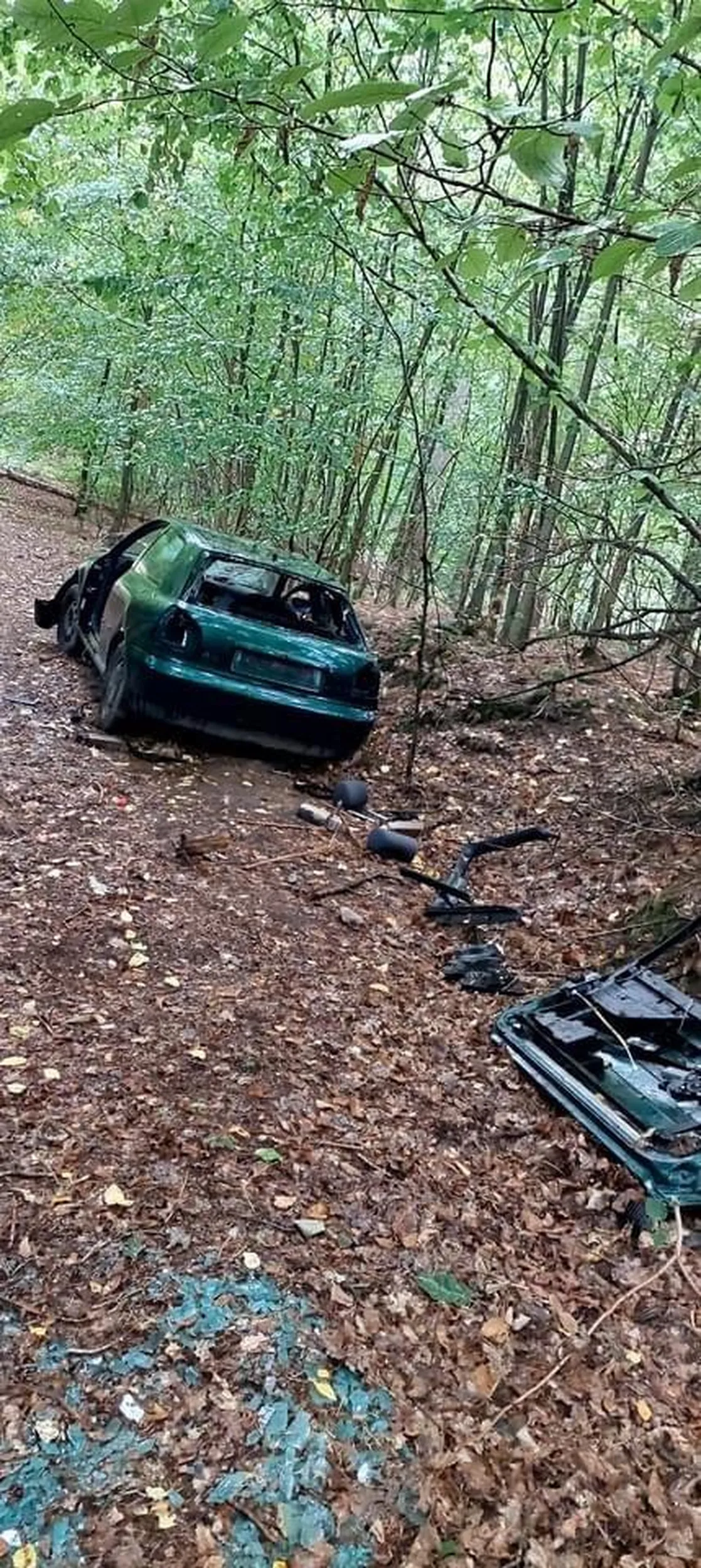 Wrak pojazdu zagraca las pod Gdańskiem. Może ktoś szuka?