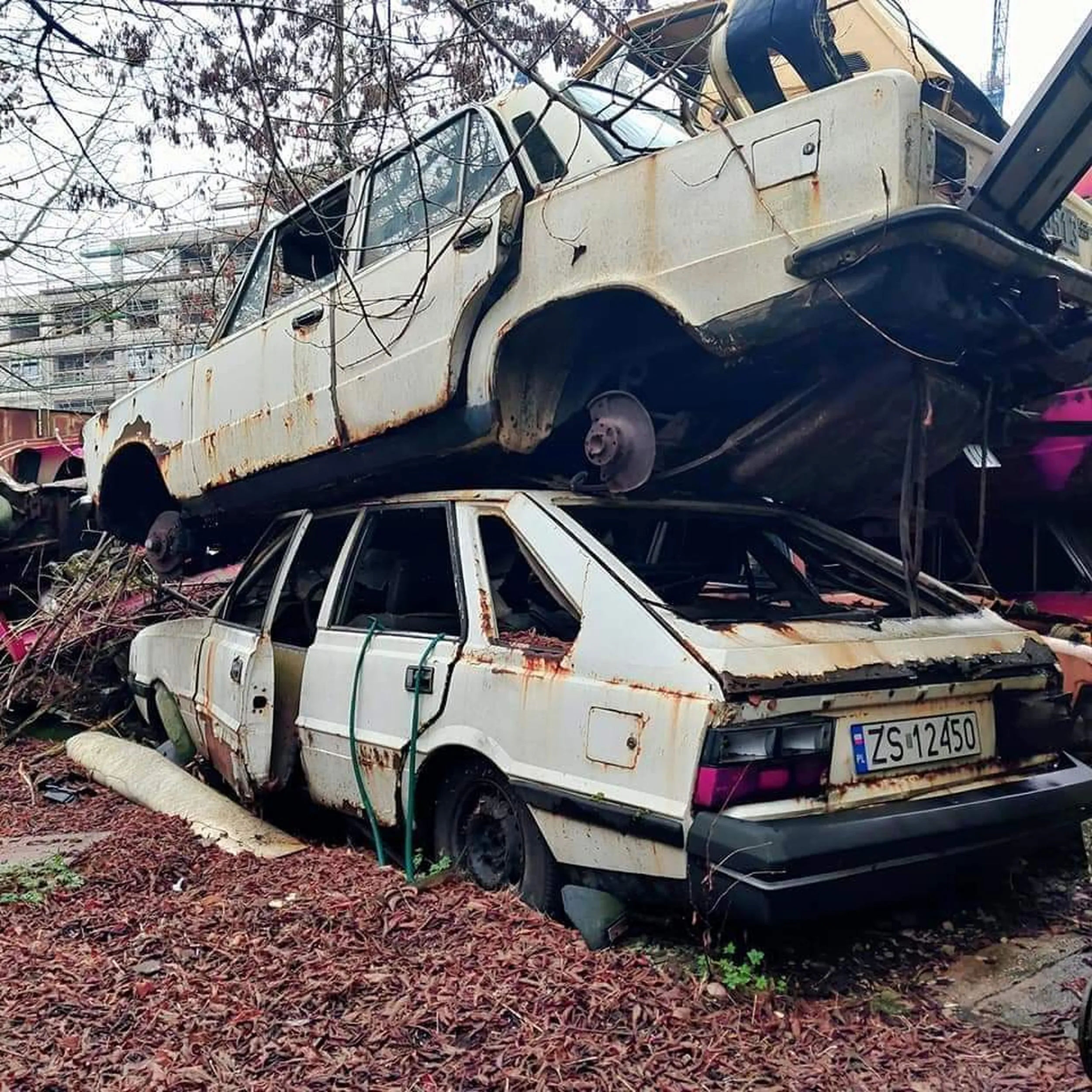 Ładnie wrastający polonez ?