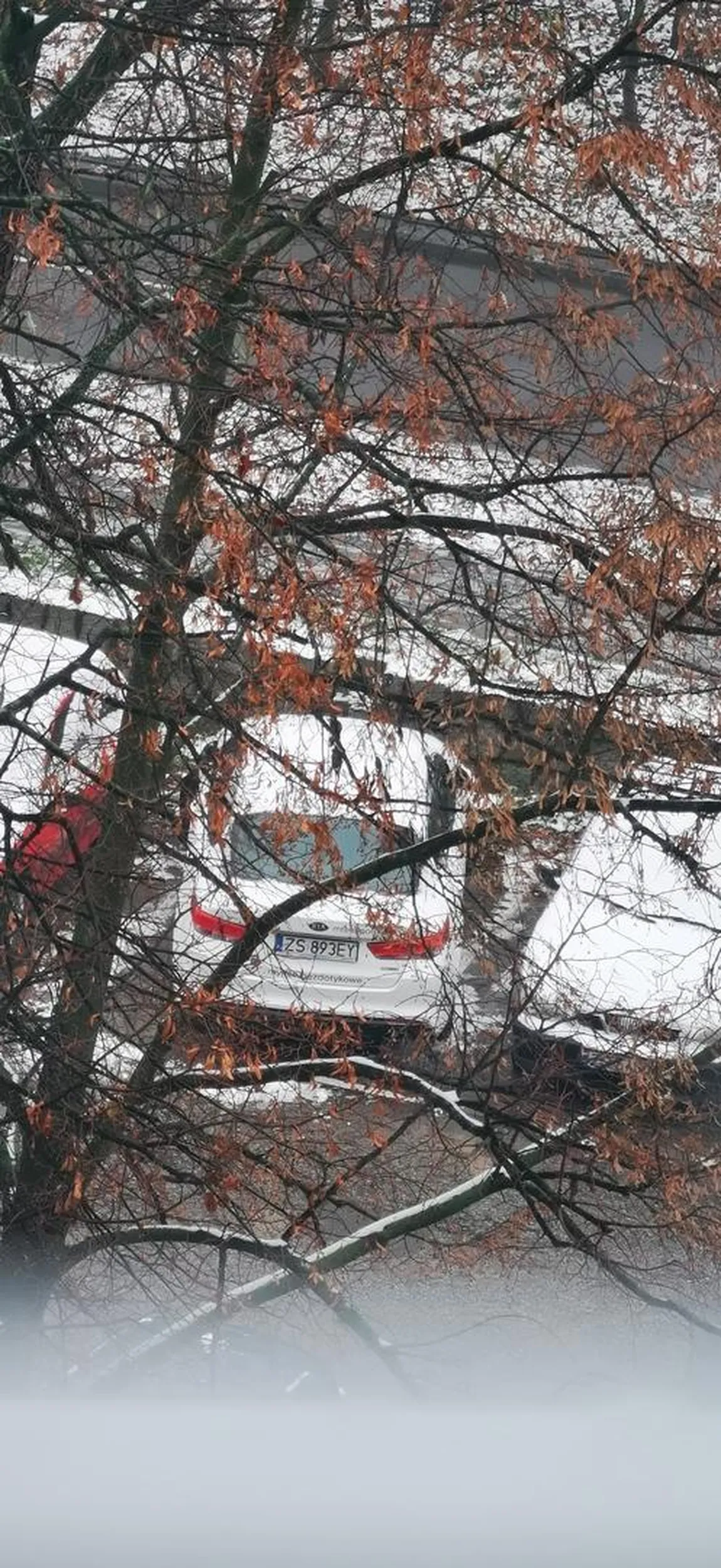 Polecam wrócić się na kurs parkowania o złotowłosa królewno ? potem zdziwieni bo autko porysowane ?