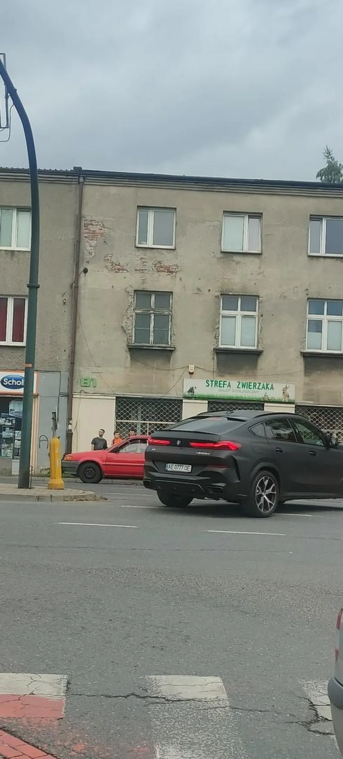 Miałem dziś okazję podziwiać manewry tego delikwenta. Cygan za kółkiem sprawiał wrażenie jakby ulicę dalej zszedł z osiołka i pierwszy raz miał okazję prowadzić samochód na czerwonym przejechał na nakazie w prawo próbował zawrócić ale trąbiące auta jadące na wprost którym załączyło się zielone i którym wyjechał na czołówkę, mu to uniemożliwiły pojechał więc prosto, gdzie znowu na pasie do jazdy prosto postanowił zawrócić tym razem blokując skrzyżowanie.