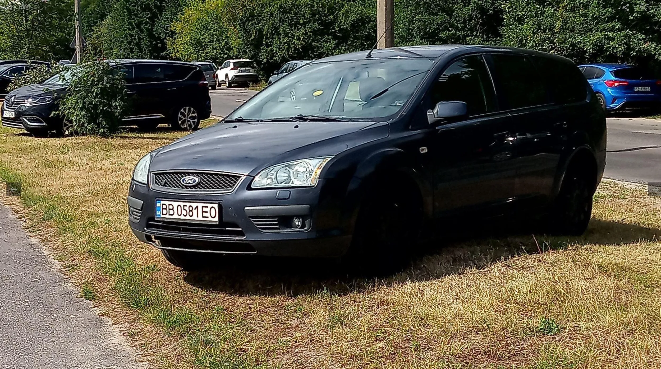 Buszujący w trójmiejskim trawniku