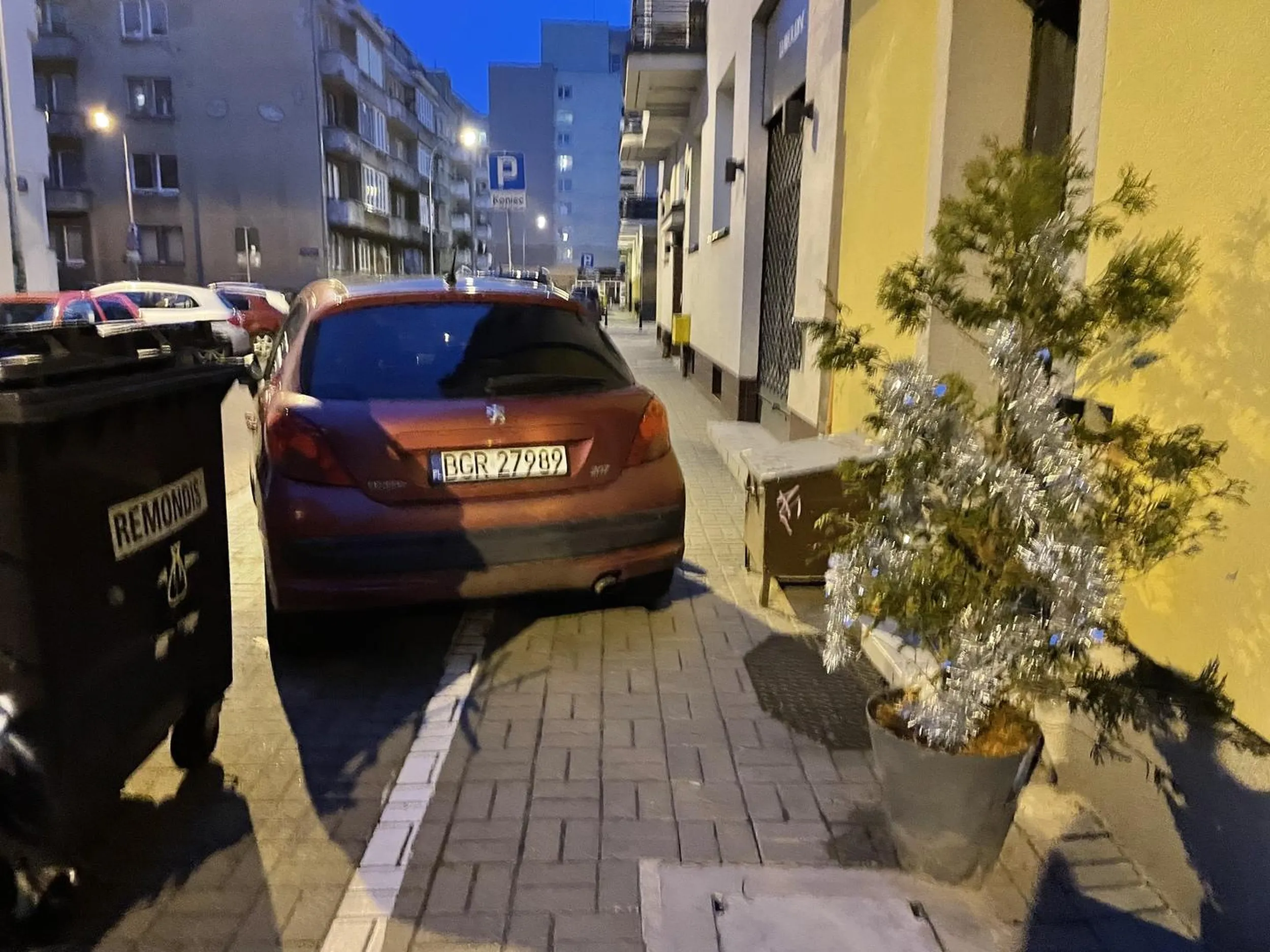 Tak się parkuje. Niech sobie piesi chodzą innym chodnikiem