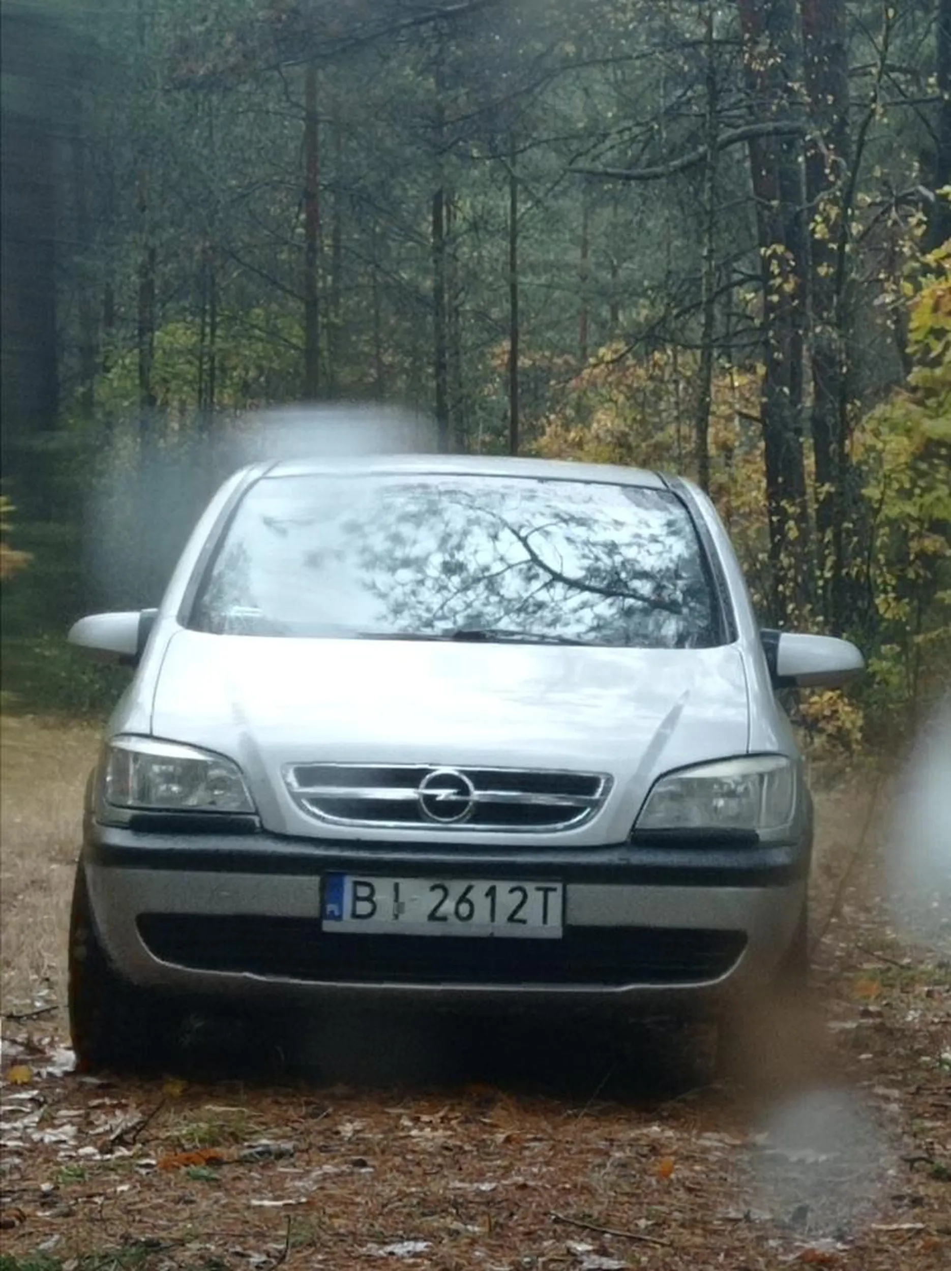 Gratuluję On nawet na grzyby nie poszedł tylko wór śmieci w krzaku zostawił po prostu Gratuluję