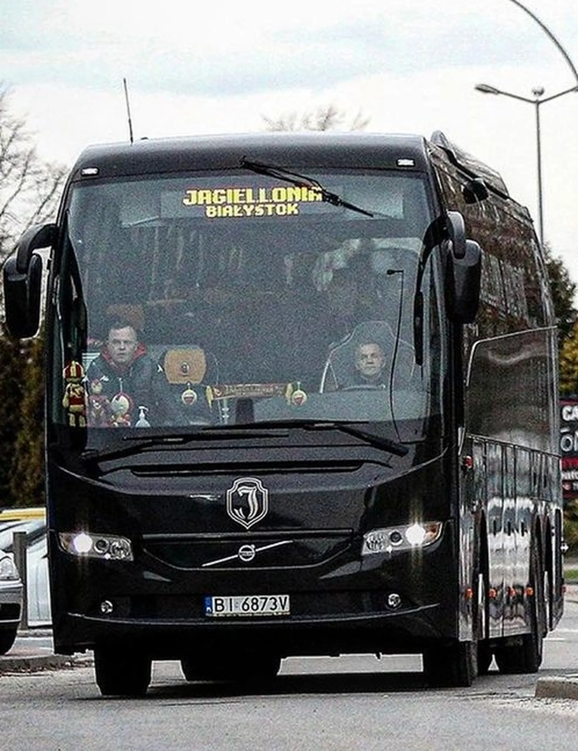 Śledzie z jagieloni