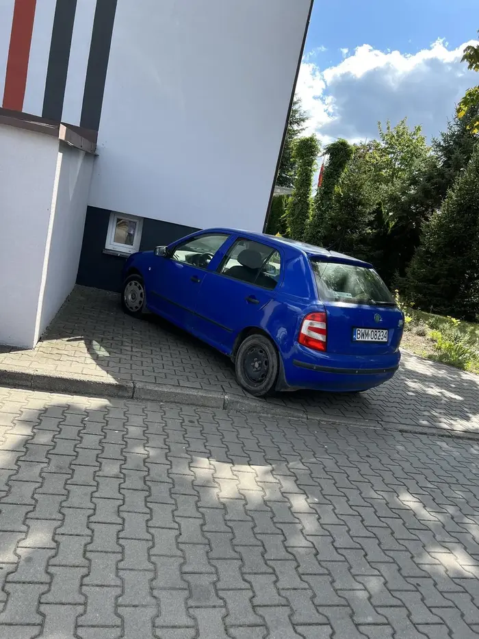 Kierowca macha kijem zamiast uzywac kierunkowskazu. I parkuje jak wariat.