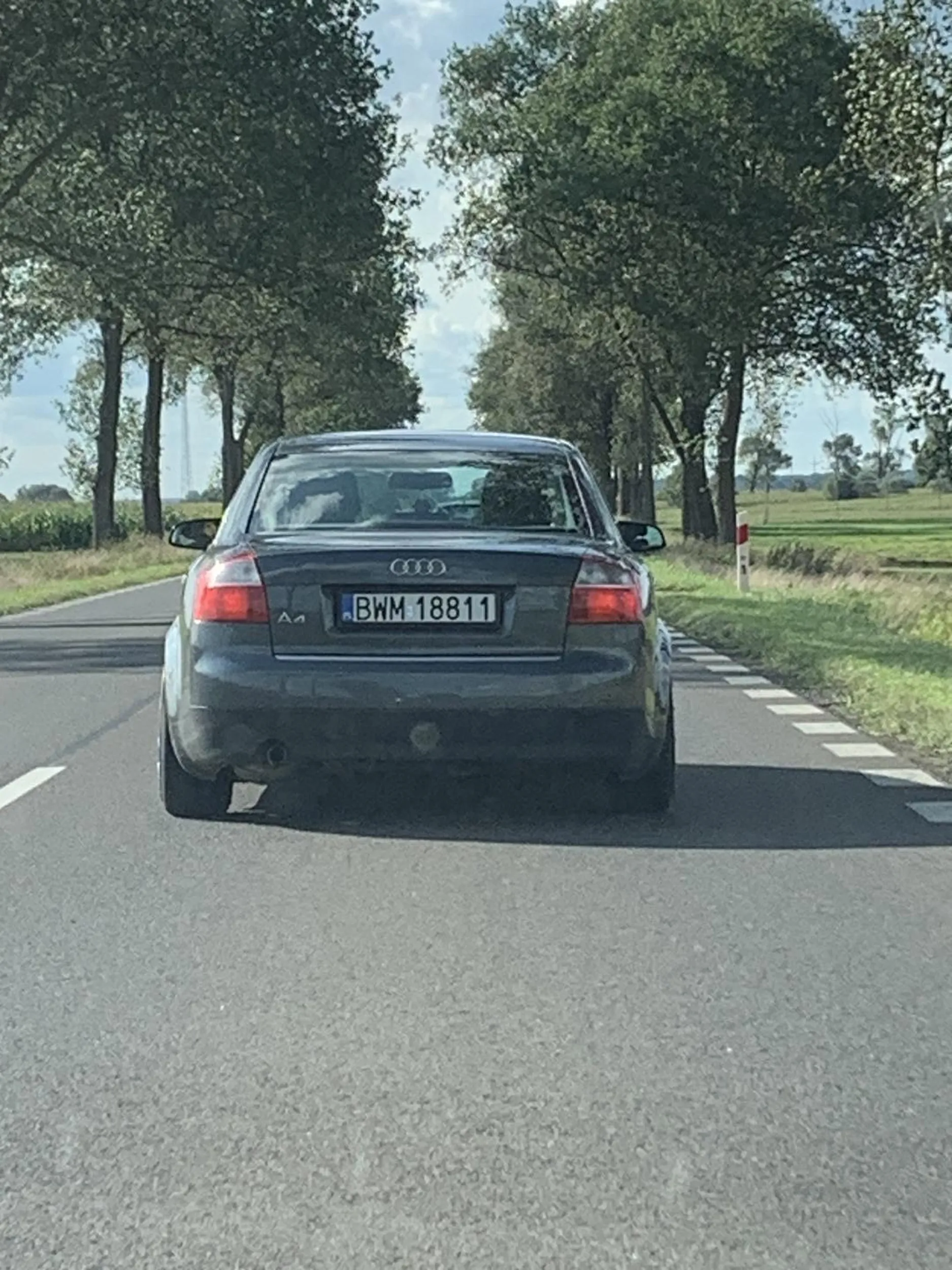 Patrz w lusterka jak wyprzedzasz kasztanie