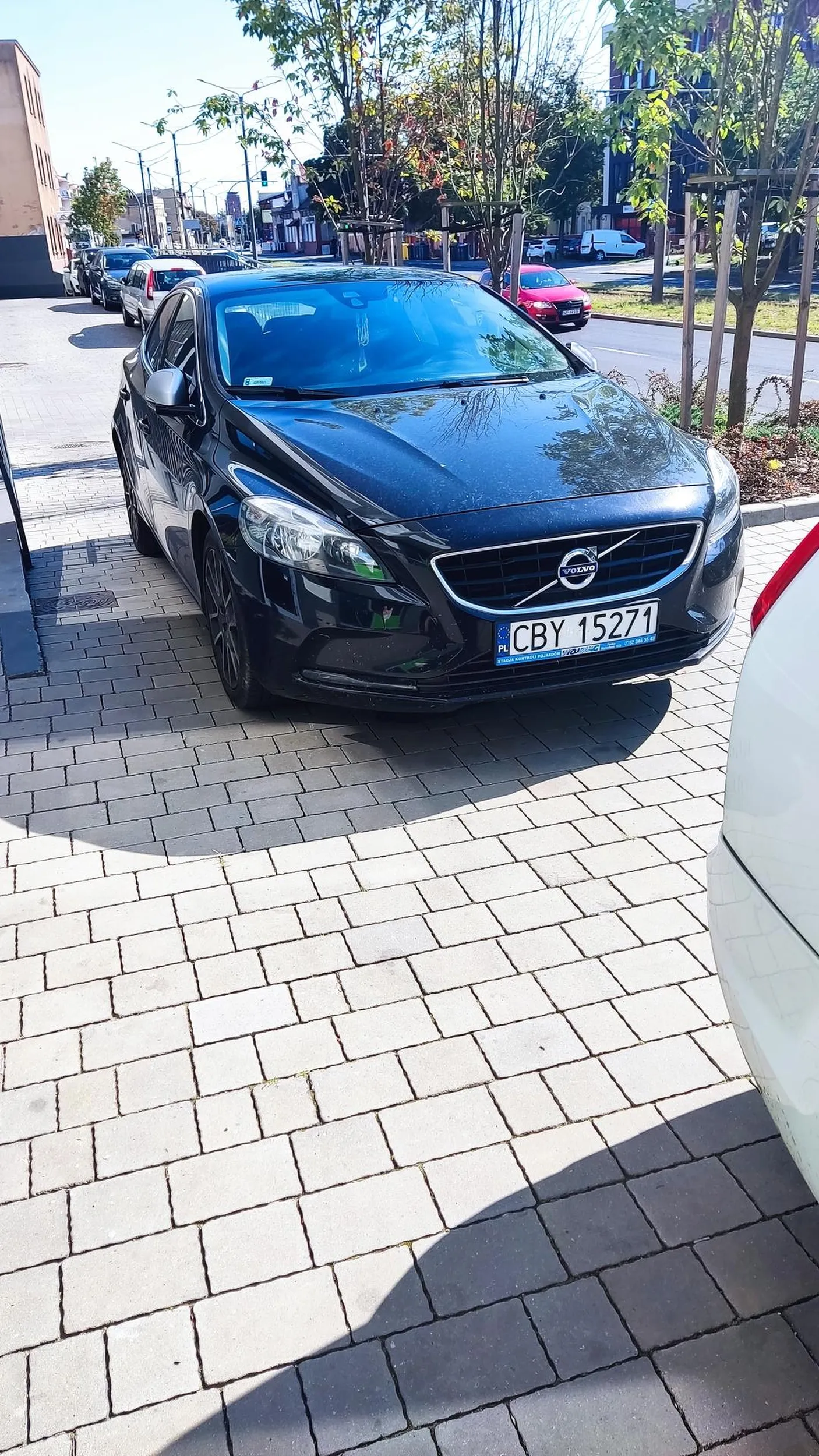 Mistrz zastawiania samochodów