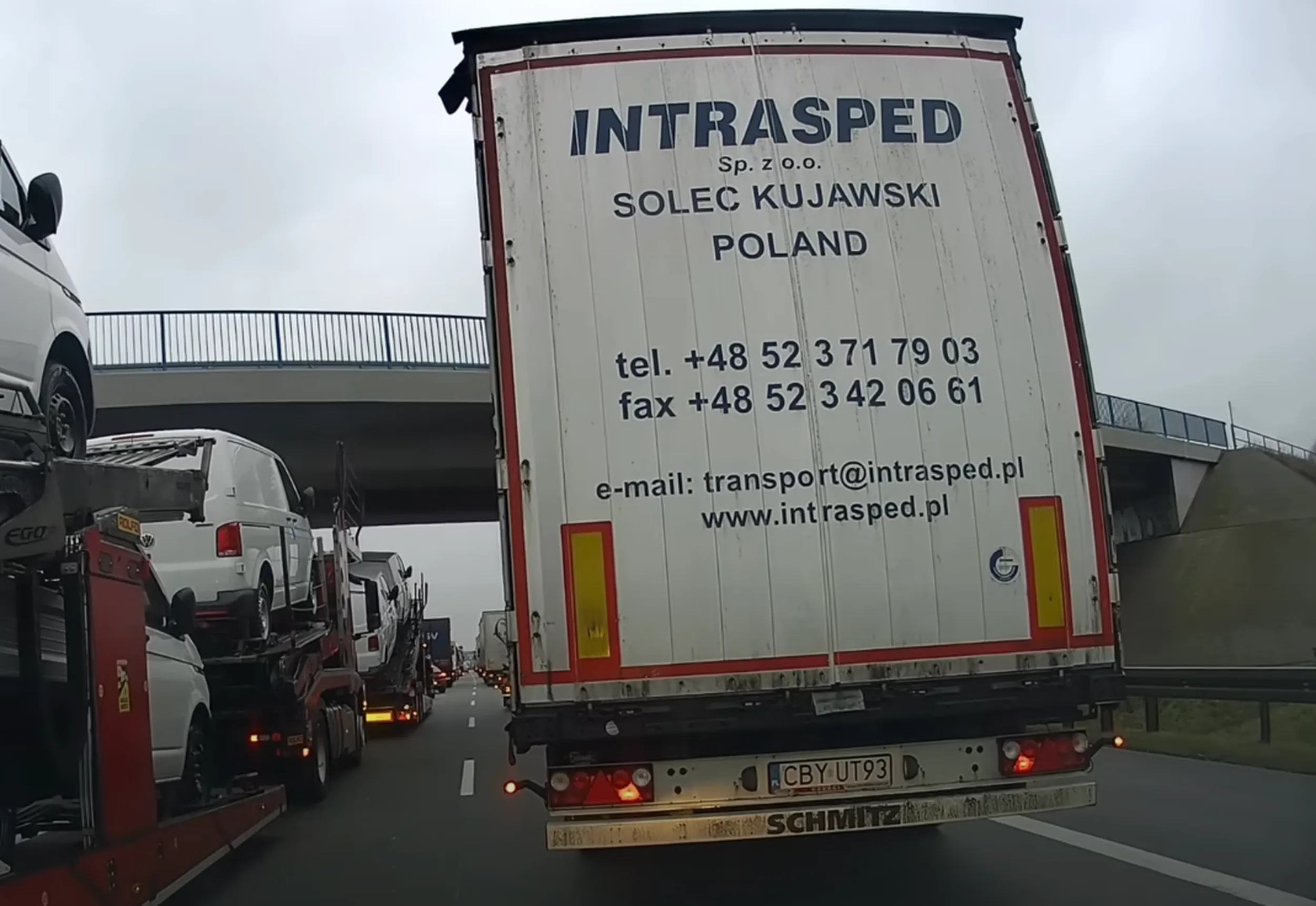 Nieudacznik blokuje korytarz życia