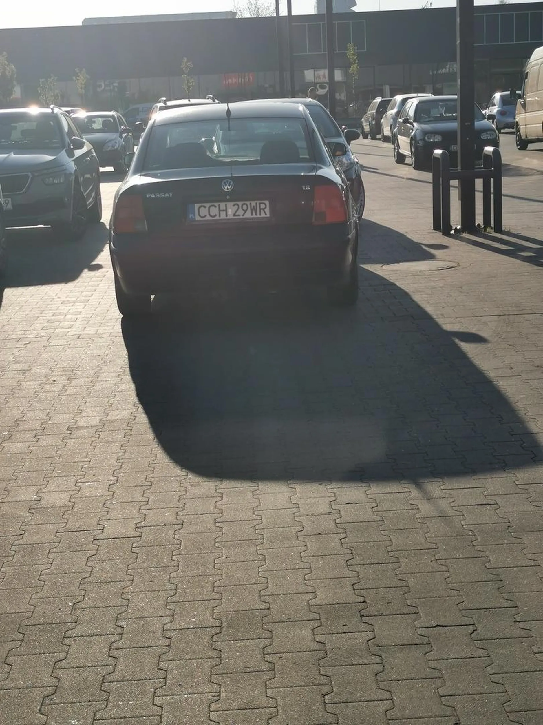 Stary pastuch pędzlem malowany, a boi się że go poobijają. Brawo.