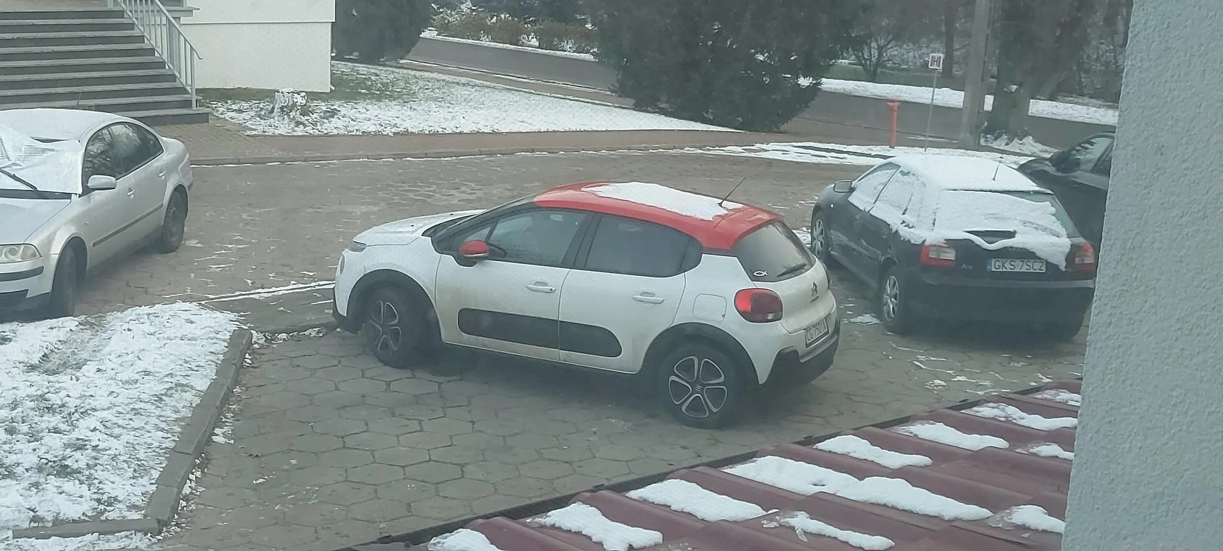 Mistrz parkowania,prawko za chipsy wygrane