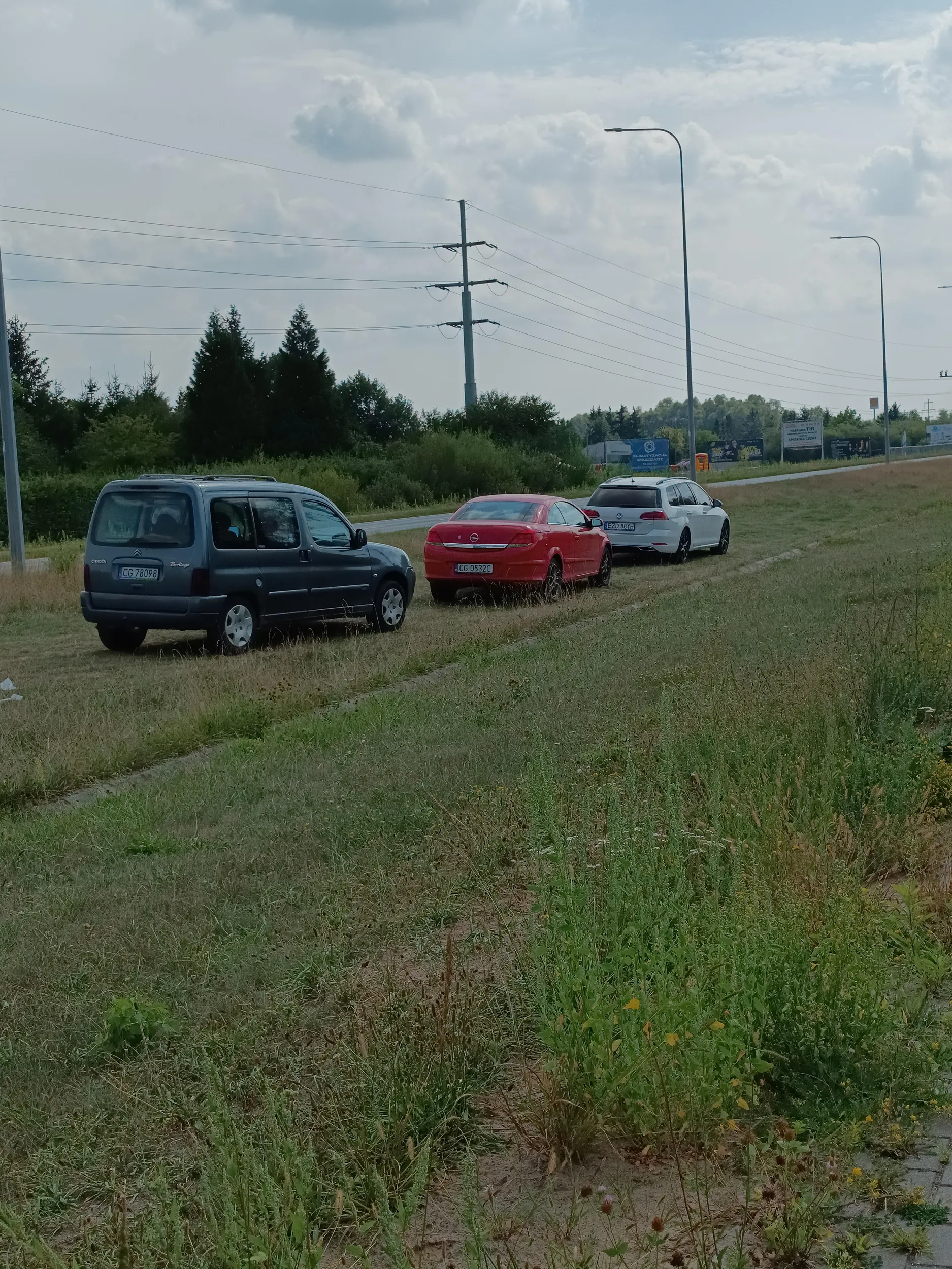 I znowu to samo. Tym razem 3 samochody na pasie zieleni przy obwodnicy. Parking działkowy obok dosłownie 20metrow tylko trzeba działki objechać. A do tego zaśmiecają.