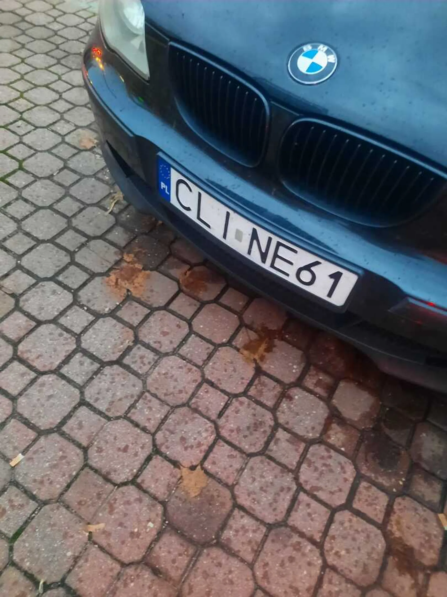 Szmaciarz zablokował mnie ponad godzinę w Gdańsku ul Słowackiego przy sklepie rowerowym -na zakazie stał , wkoncu udało mi się wyjechać dzięki innemu dobrze parkującemu a ta łajza się nie zjawiła, lusterko mu tylko złożyłam , ma szczęście że na mnie nie trafił pizduś bo by tu z ryjem też wystąpił