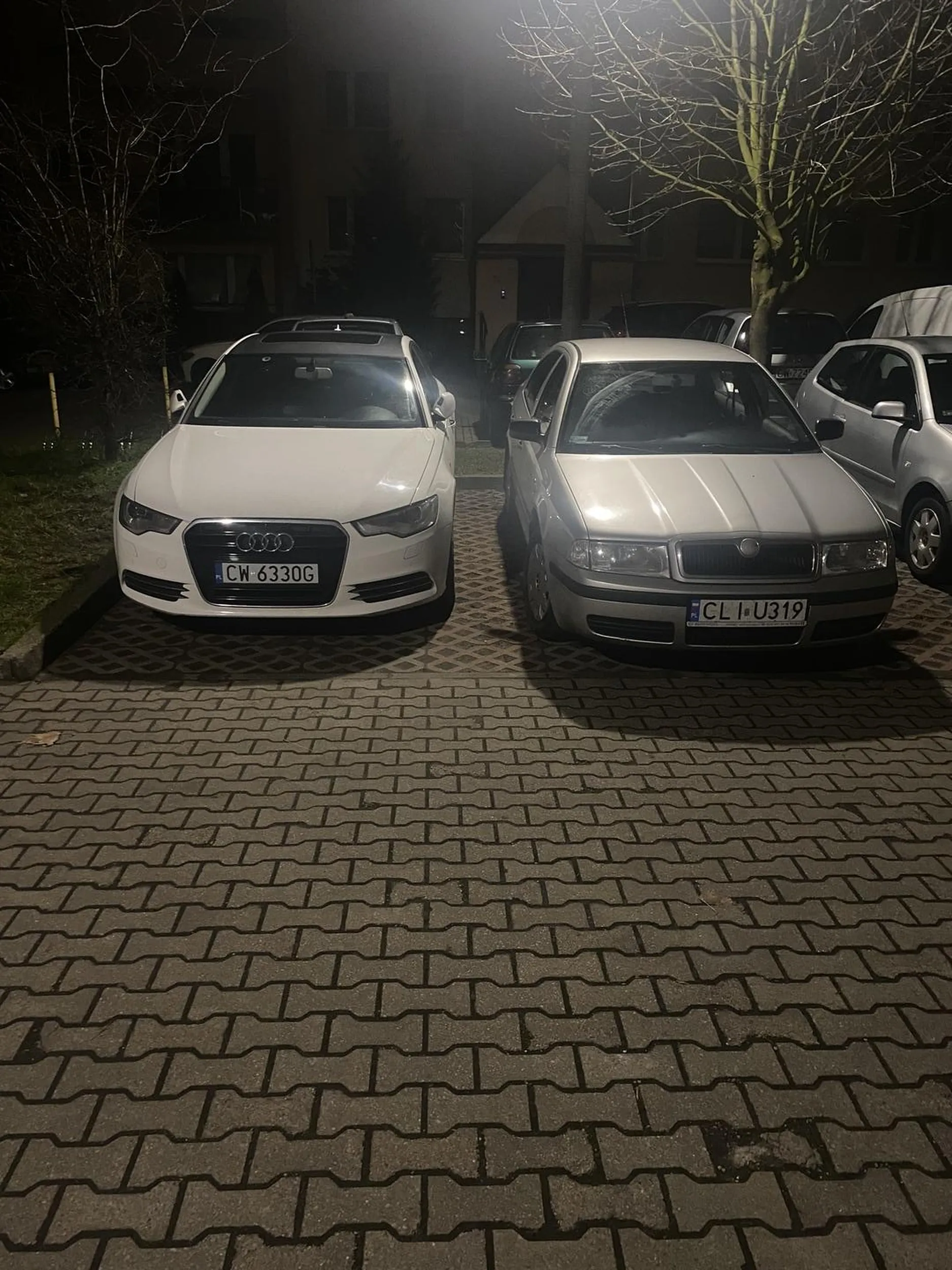 Brak mózgu i umiejętności