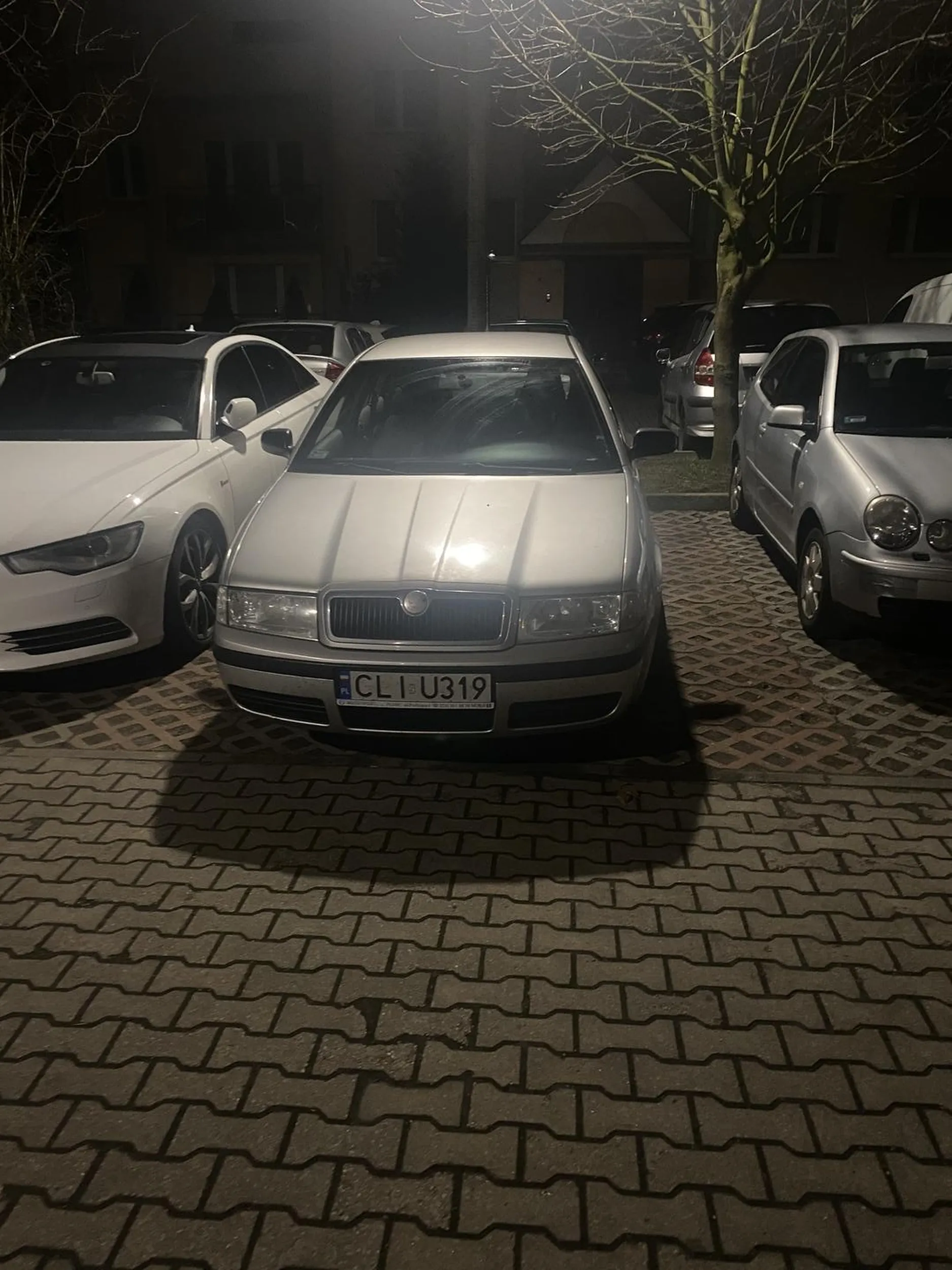 Brak mózgu i umiejętności