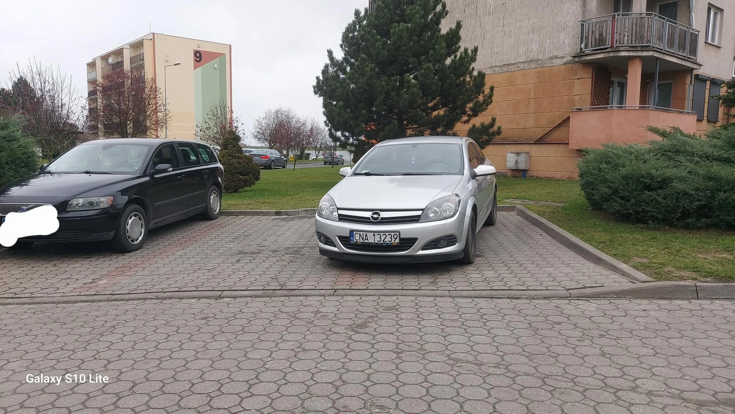 Ciekawe kto ci prawo jazdy dał