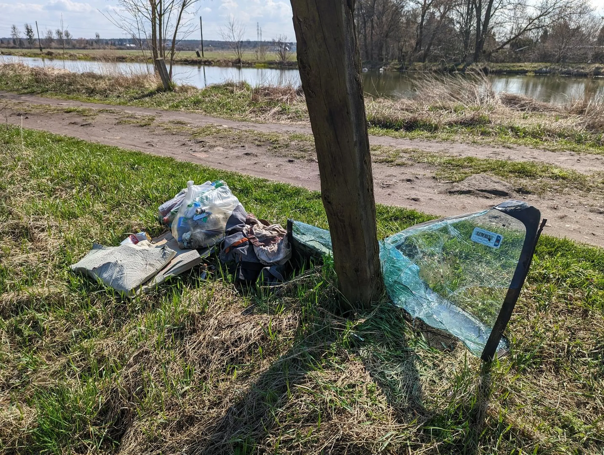 Czyżby w Toruniu śmietników zabrakło?