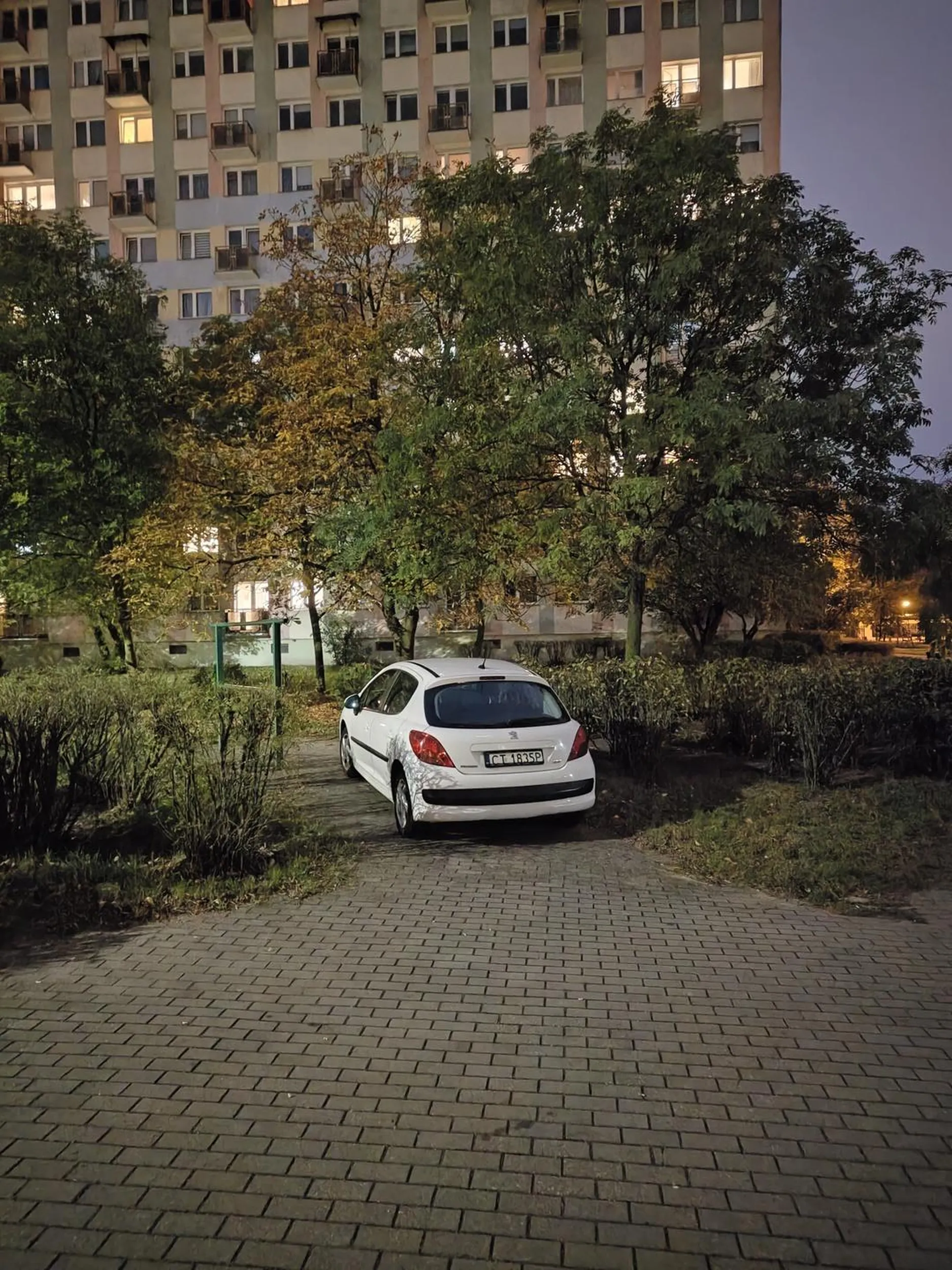 Pod zakaz, dobrze, że do klatki nie wjechał.