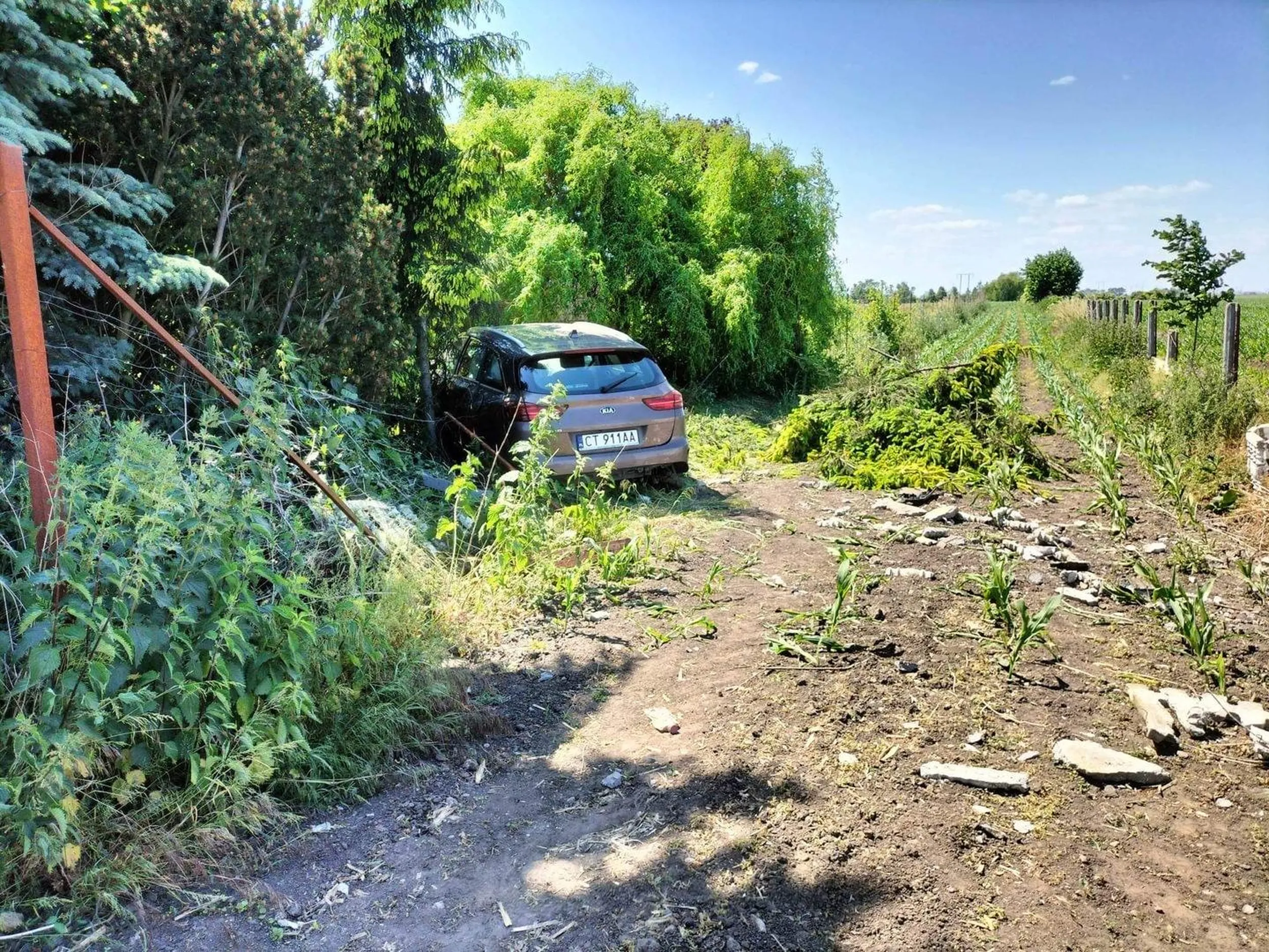 Wjechało auto z bolta w moja posesje brak kontaktu z firma