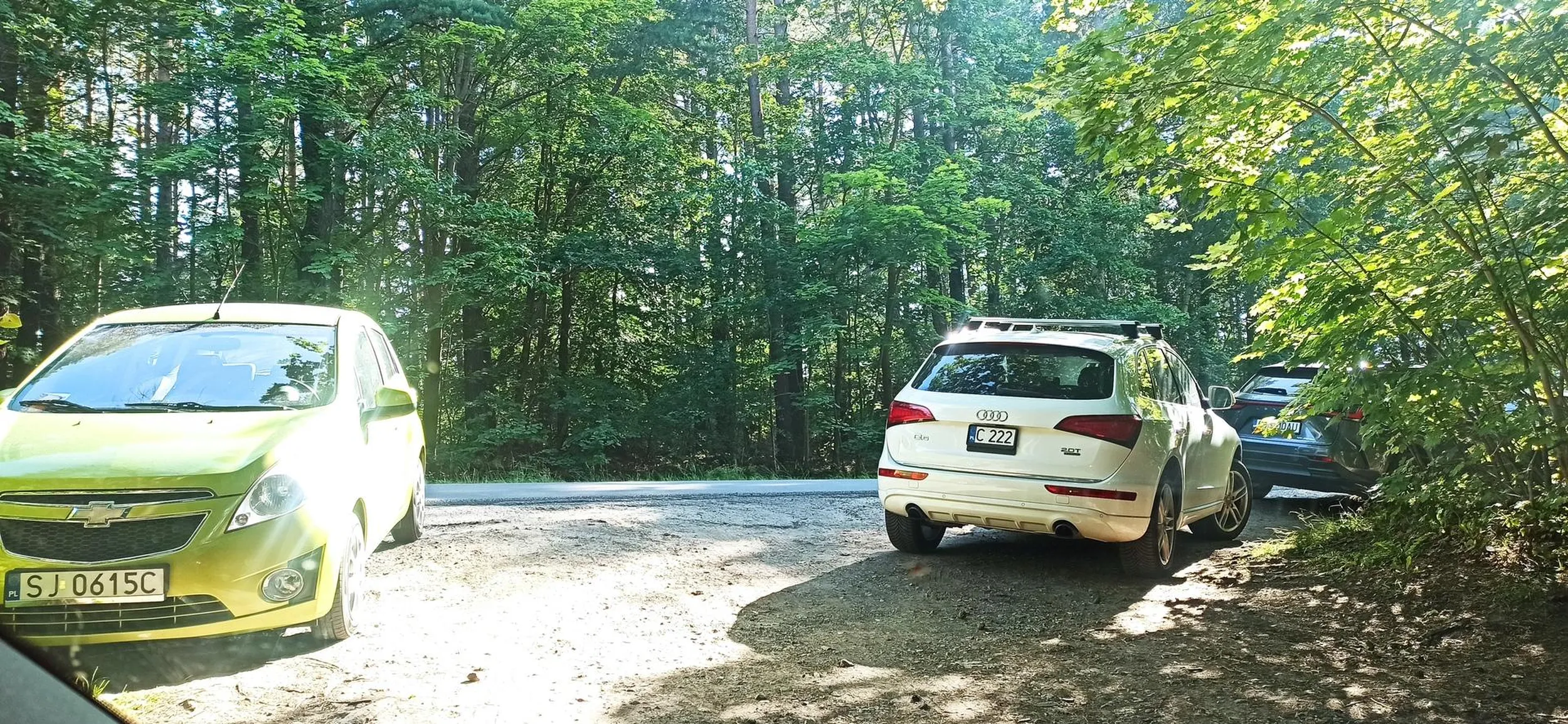 Parkowanie pierwsza klasa... Dodam, że to dojazd do plaży, którym w razie wypadku nad wodą muszą przedostać się służby ratunkowe. Małą rejestrację pomocne milczeniem, przecież widać, że nie ma miejsca na większą :)